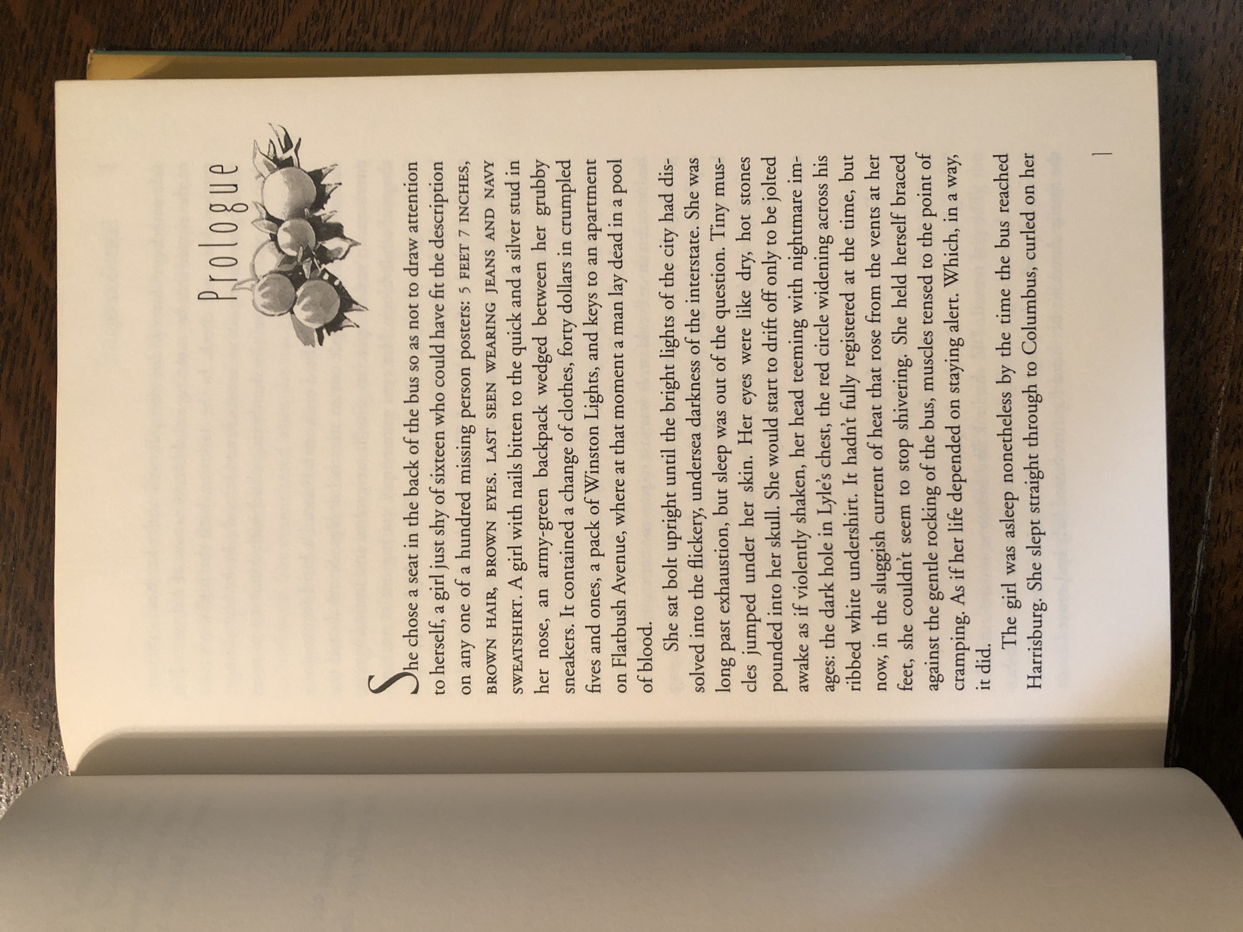 Stranger in Paradise