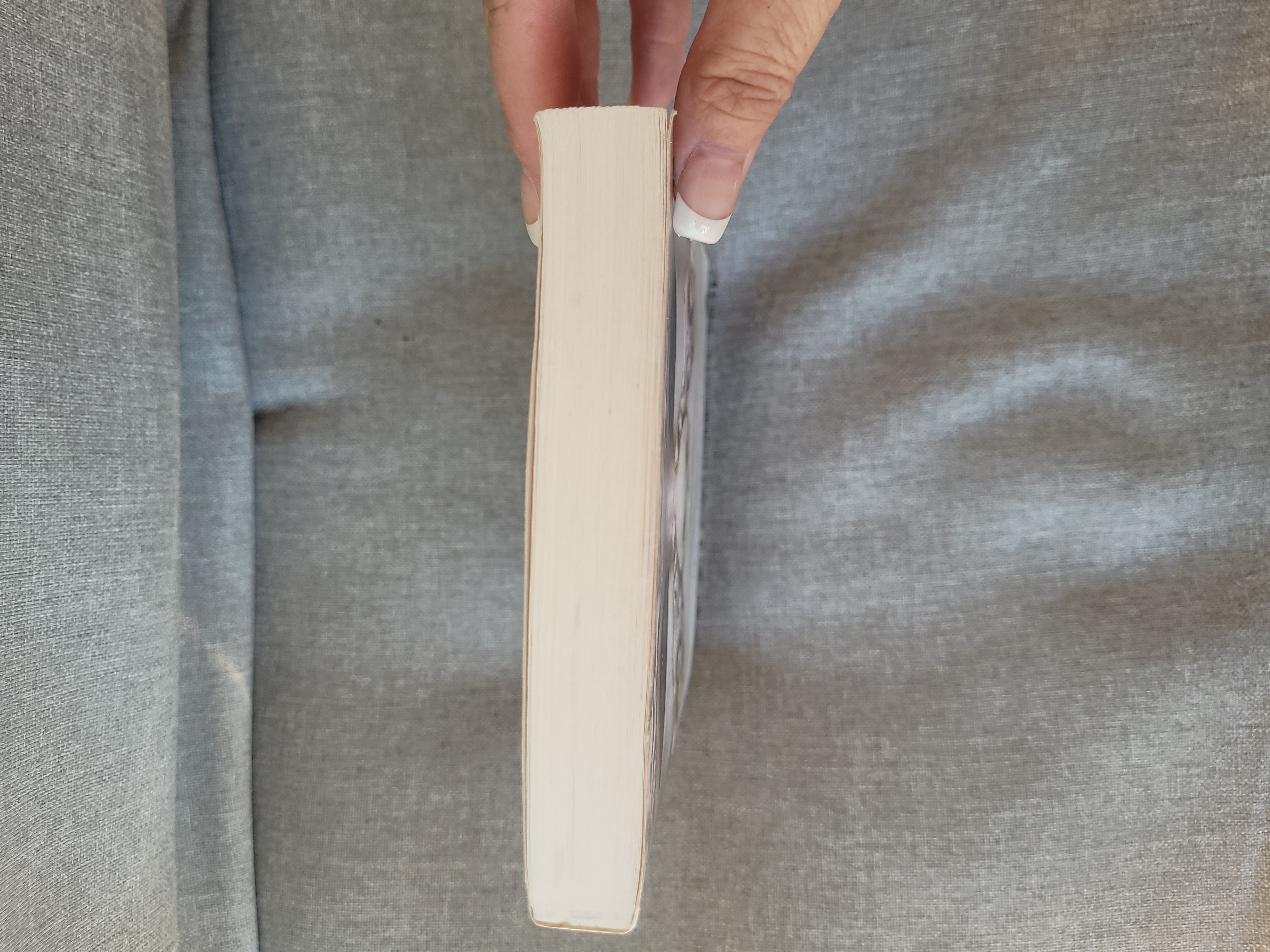 Masquerade (Blue Bloods, Vol. 2)