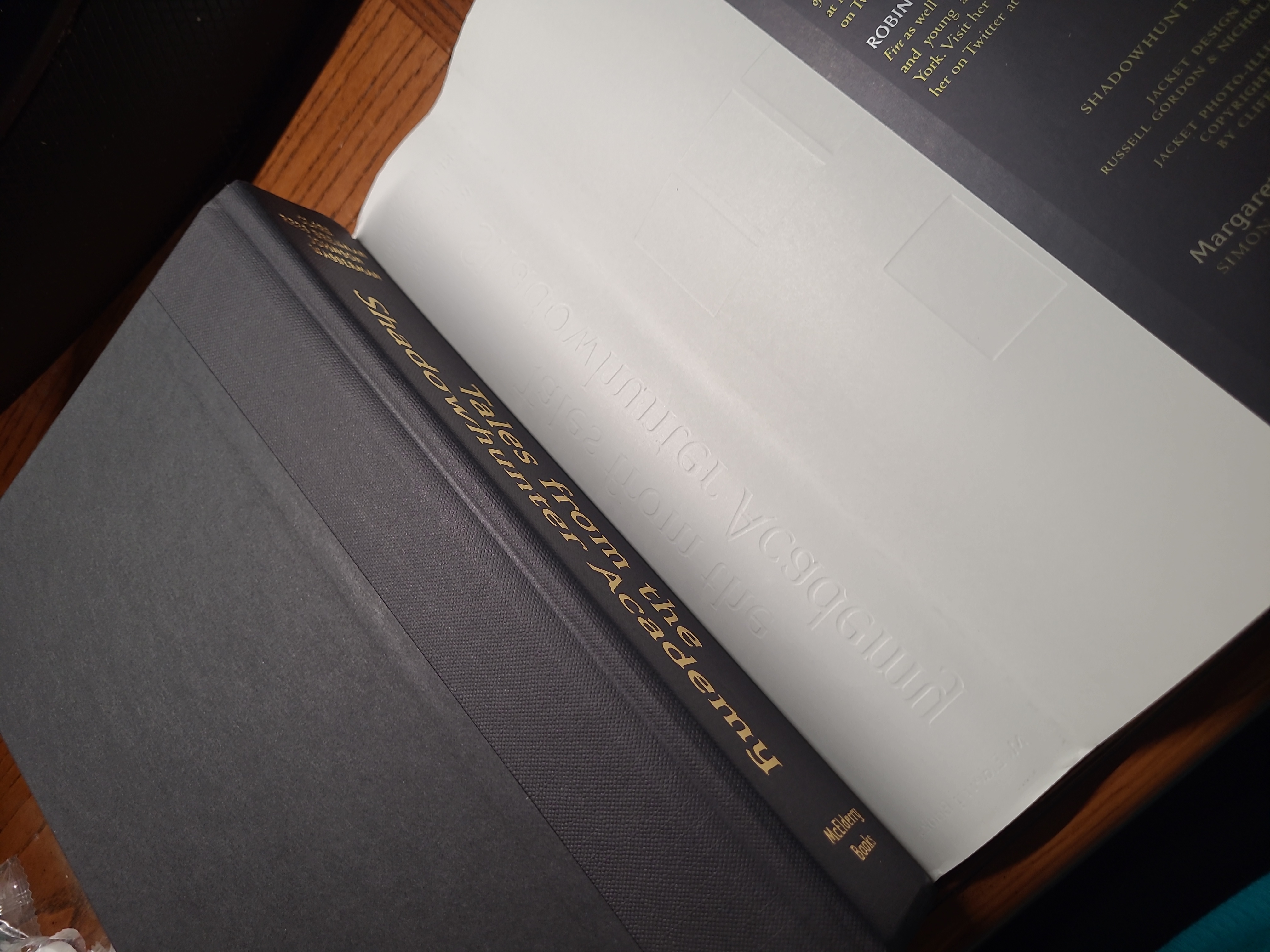 Tales from the Shadowhunter Academy