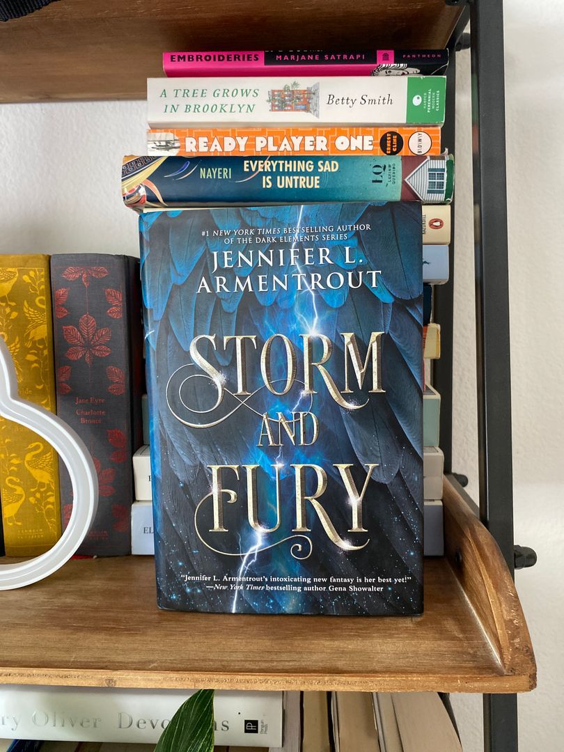 Storm and Fury