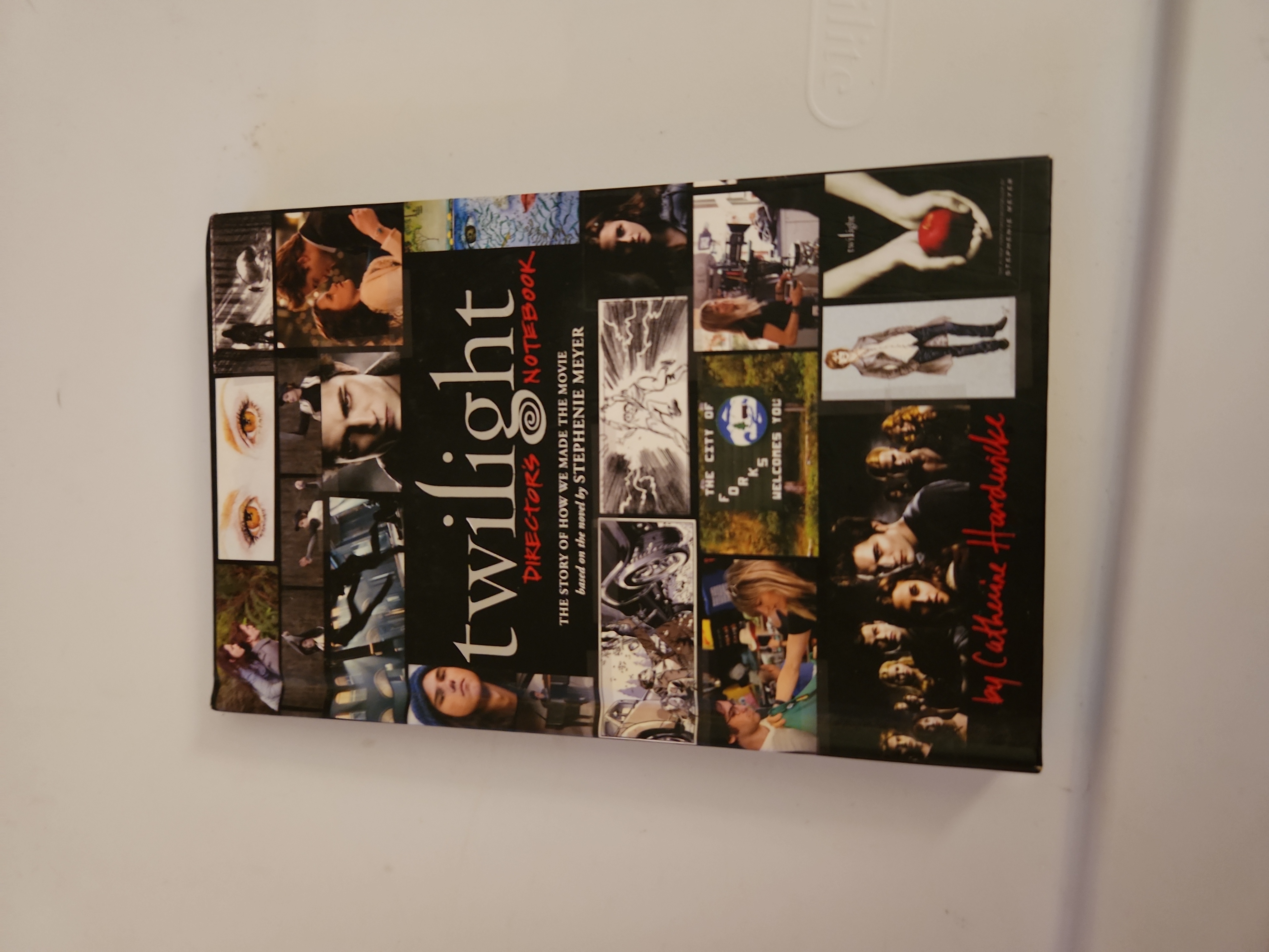 Twilight: Director's Notebook