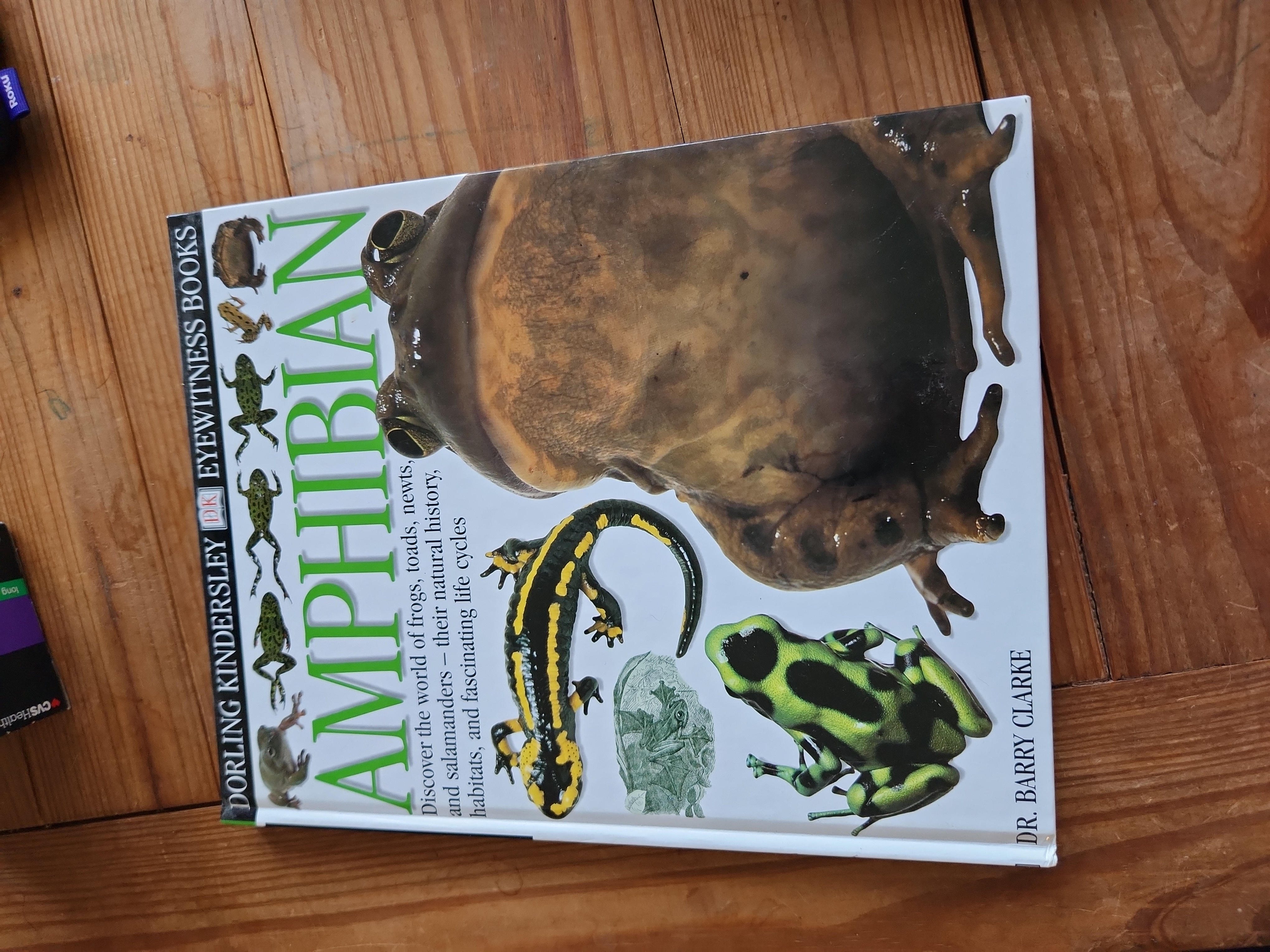 Amphibian