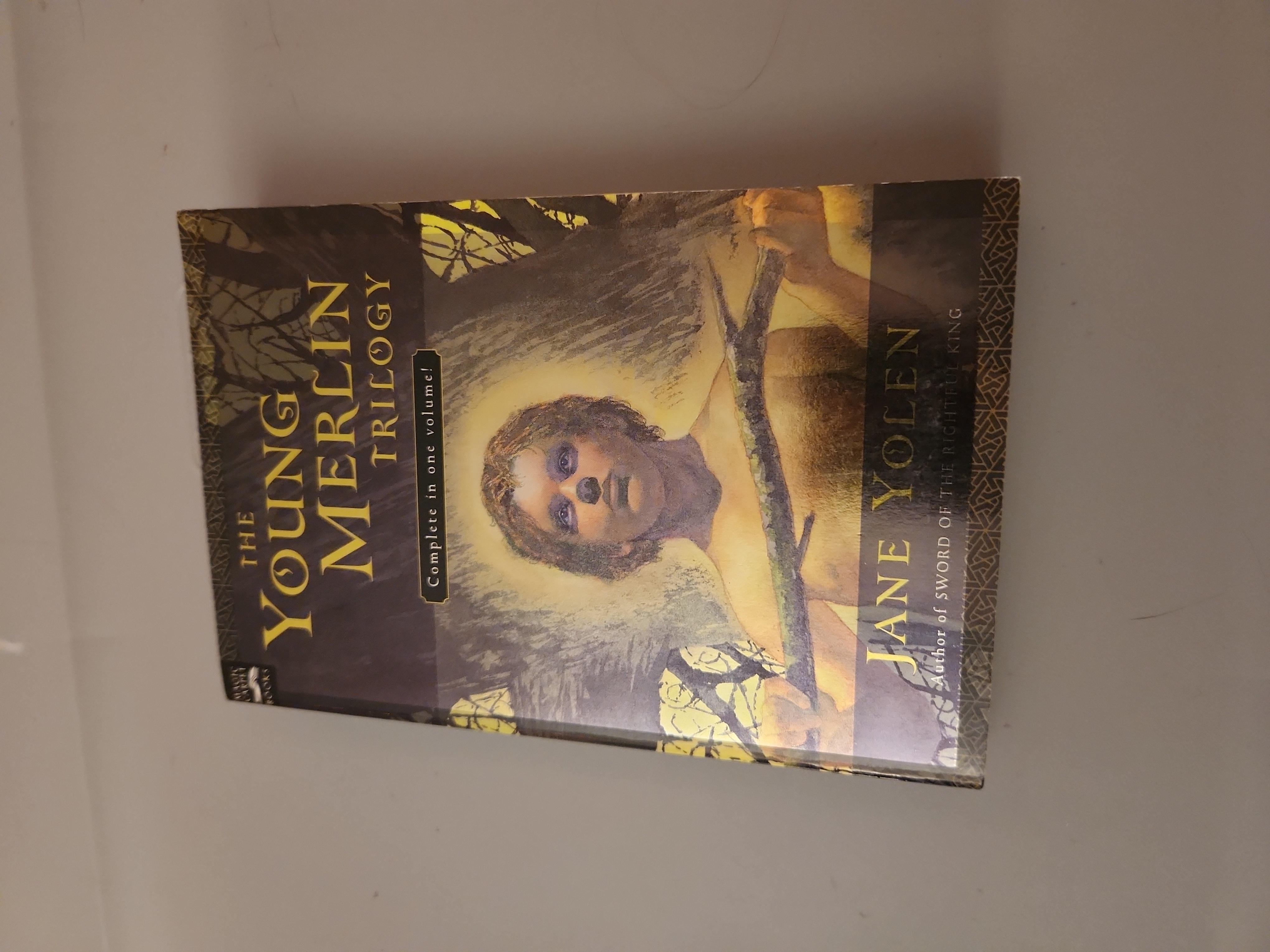 The Young Merlin Trilogy