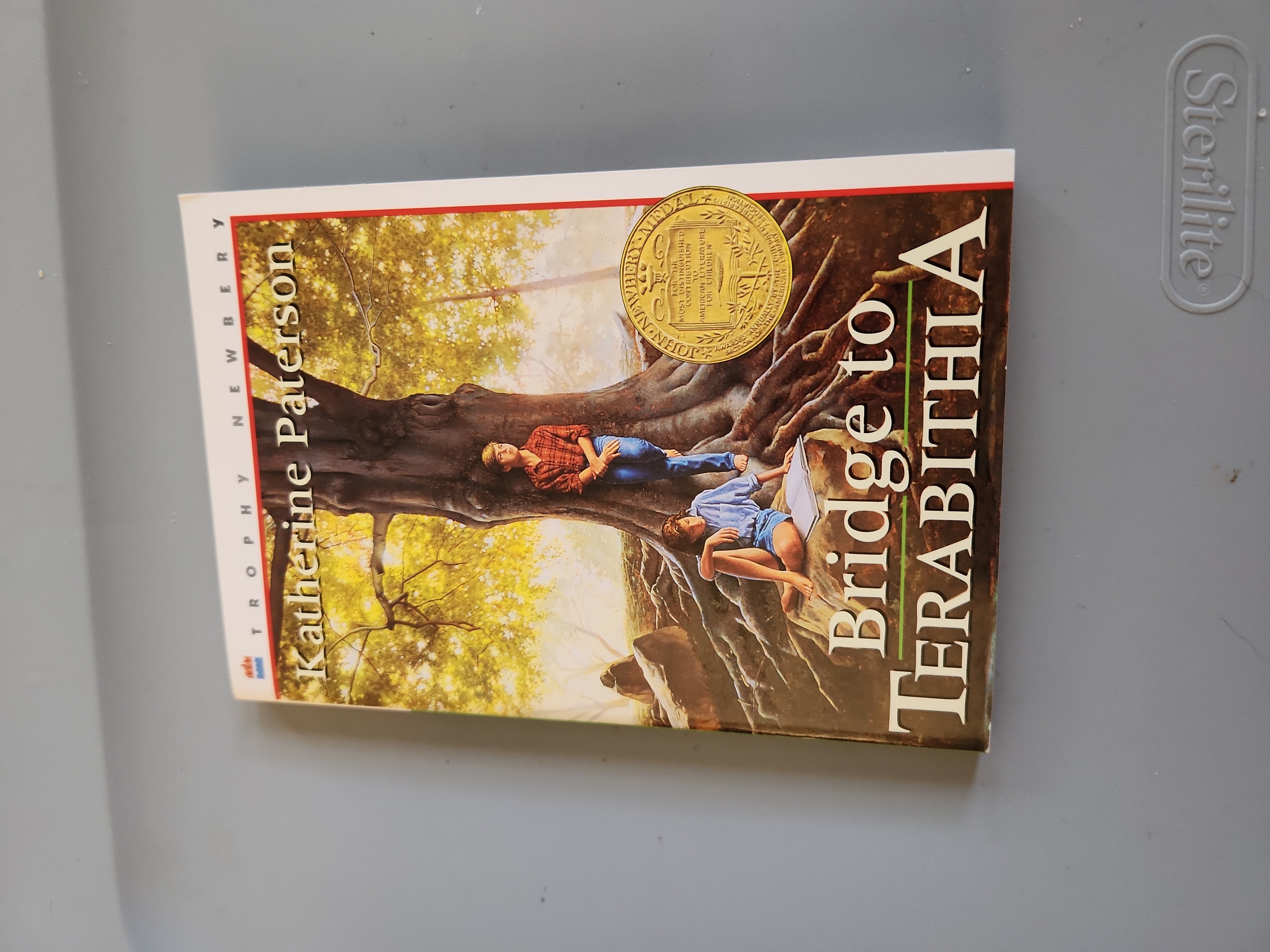 Bridge to Terabithia