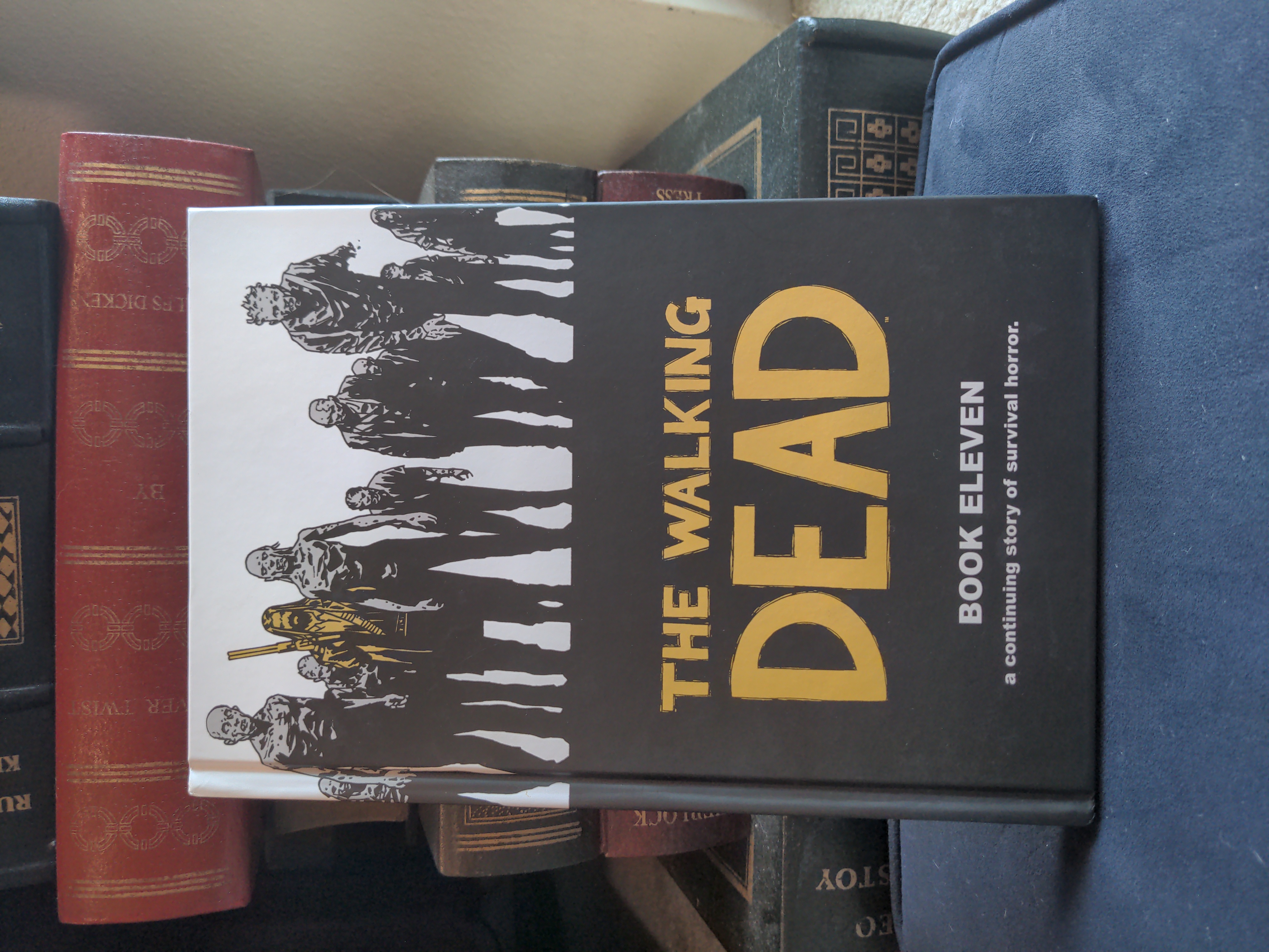 The Walking Dead Book 11