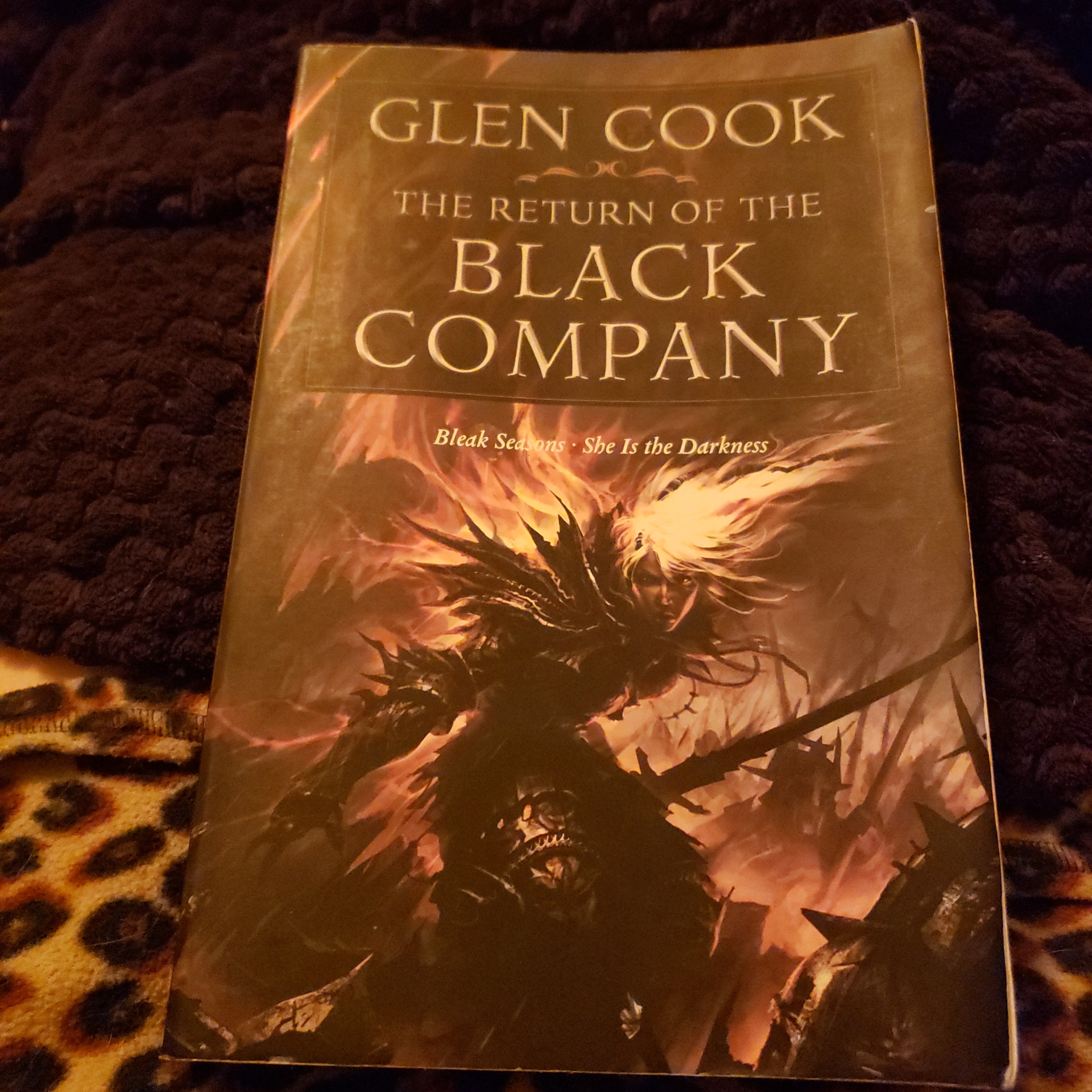 The Return of the Black Company