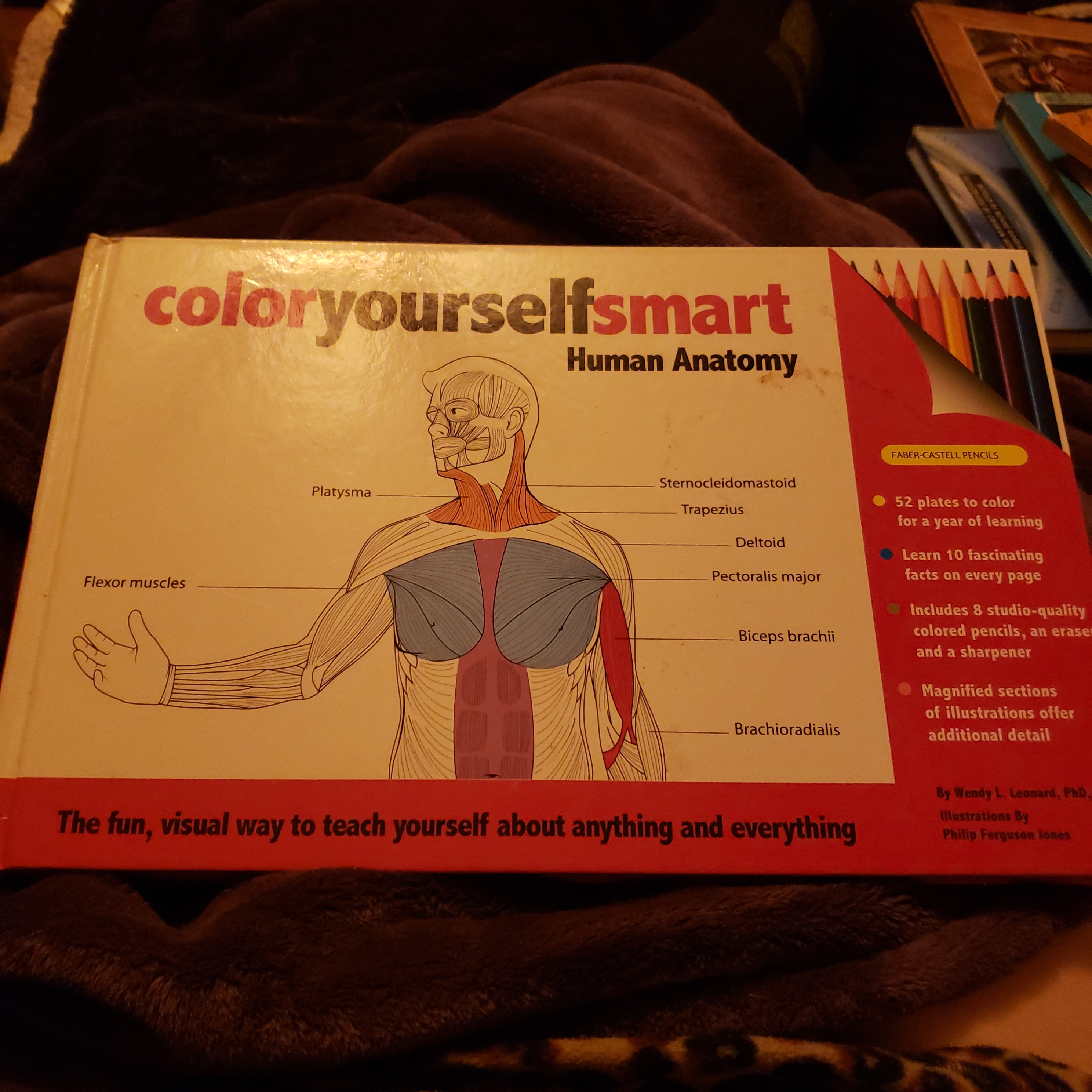Human Anatomy