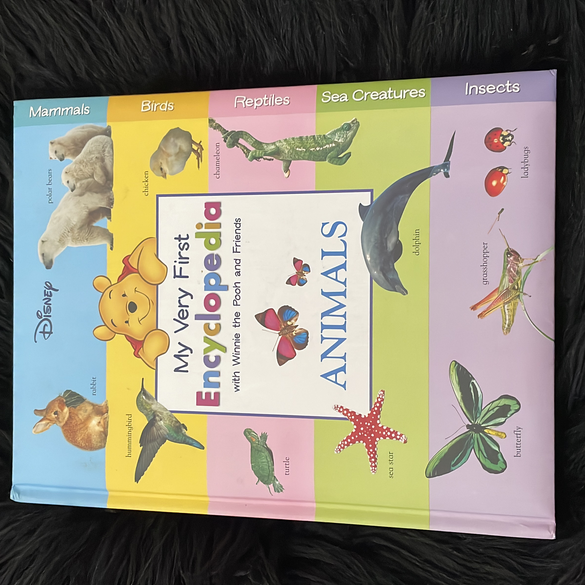My very first encyclopedia with Winnie the Pooh and friends