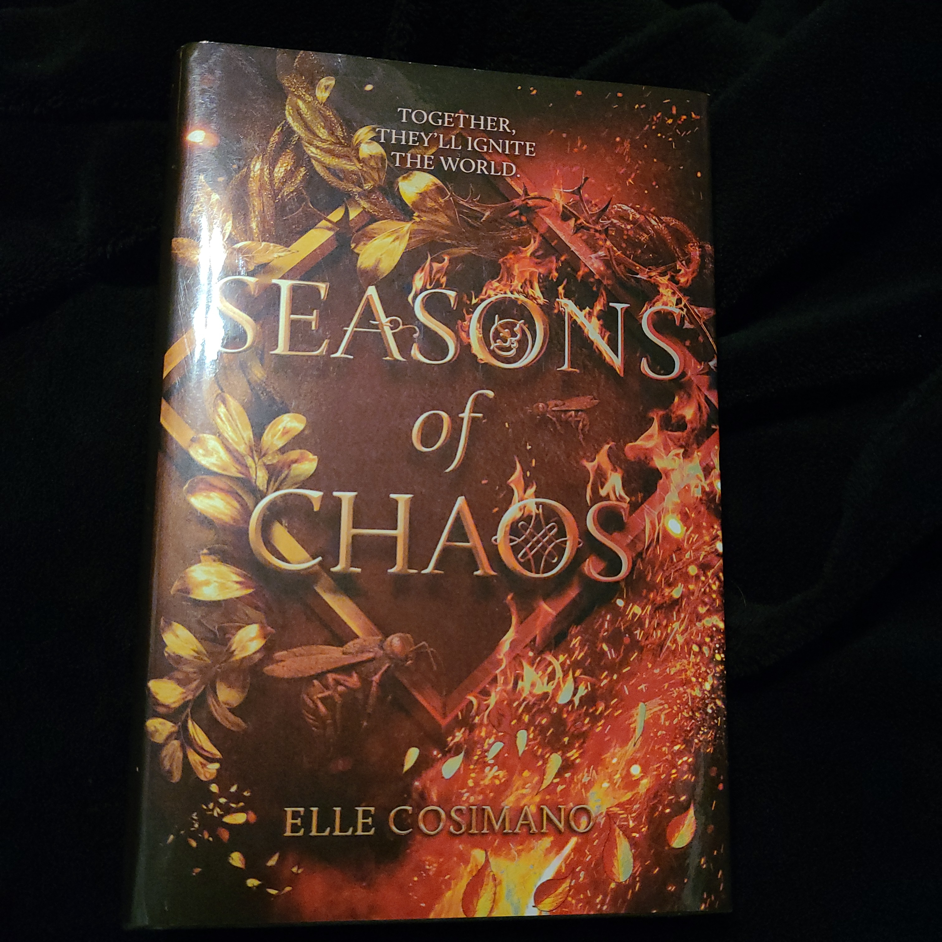 Seasons of Chaos