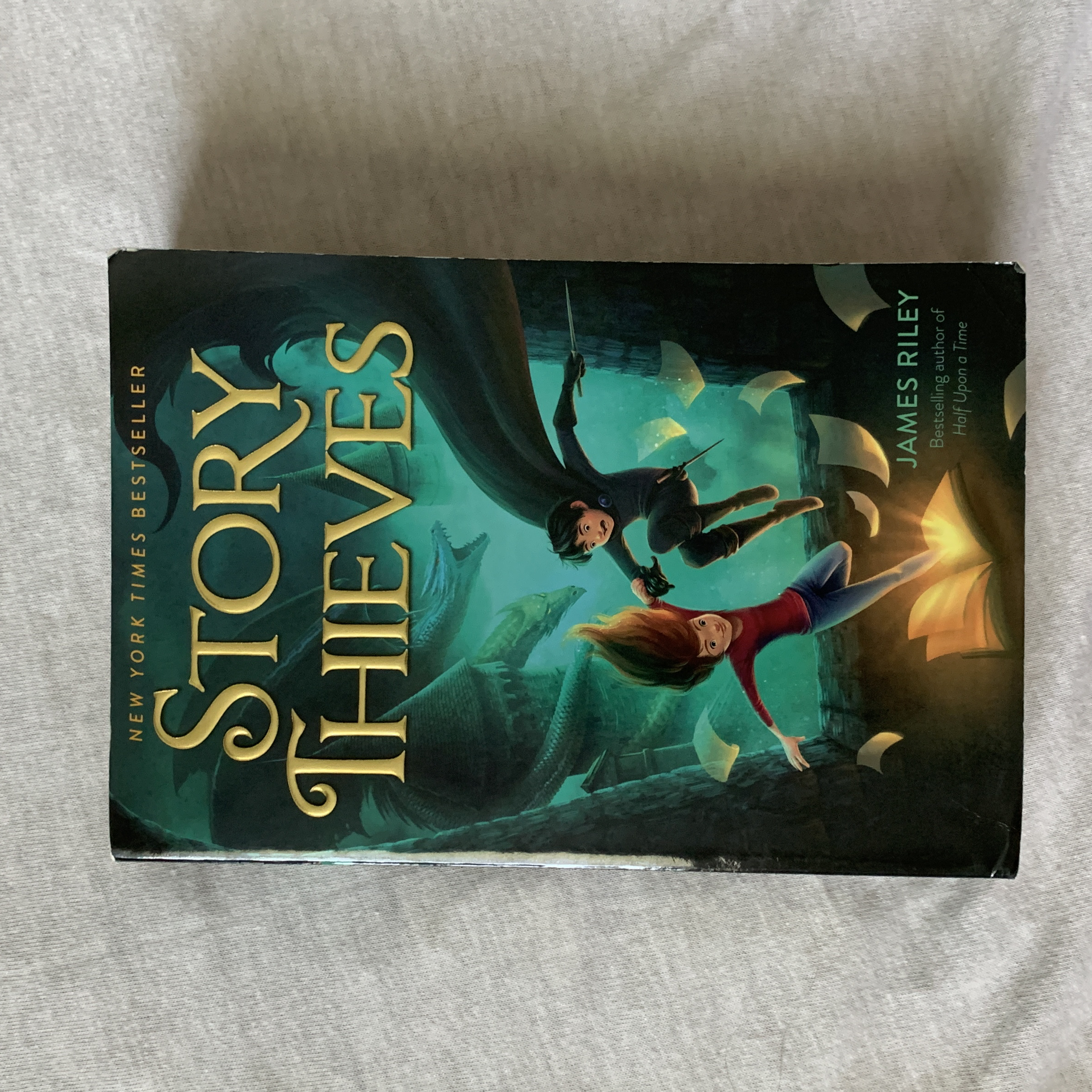 Story Thieves