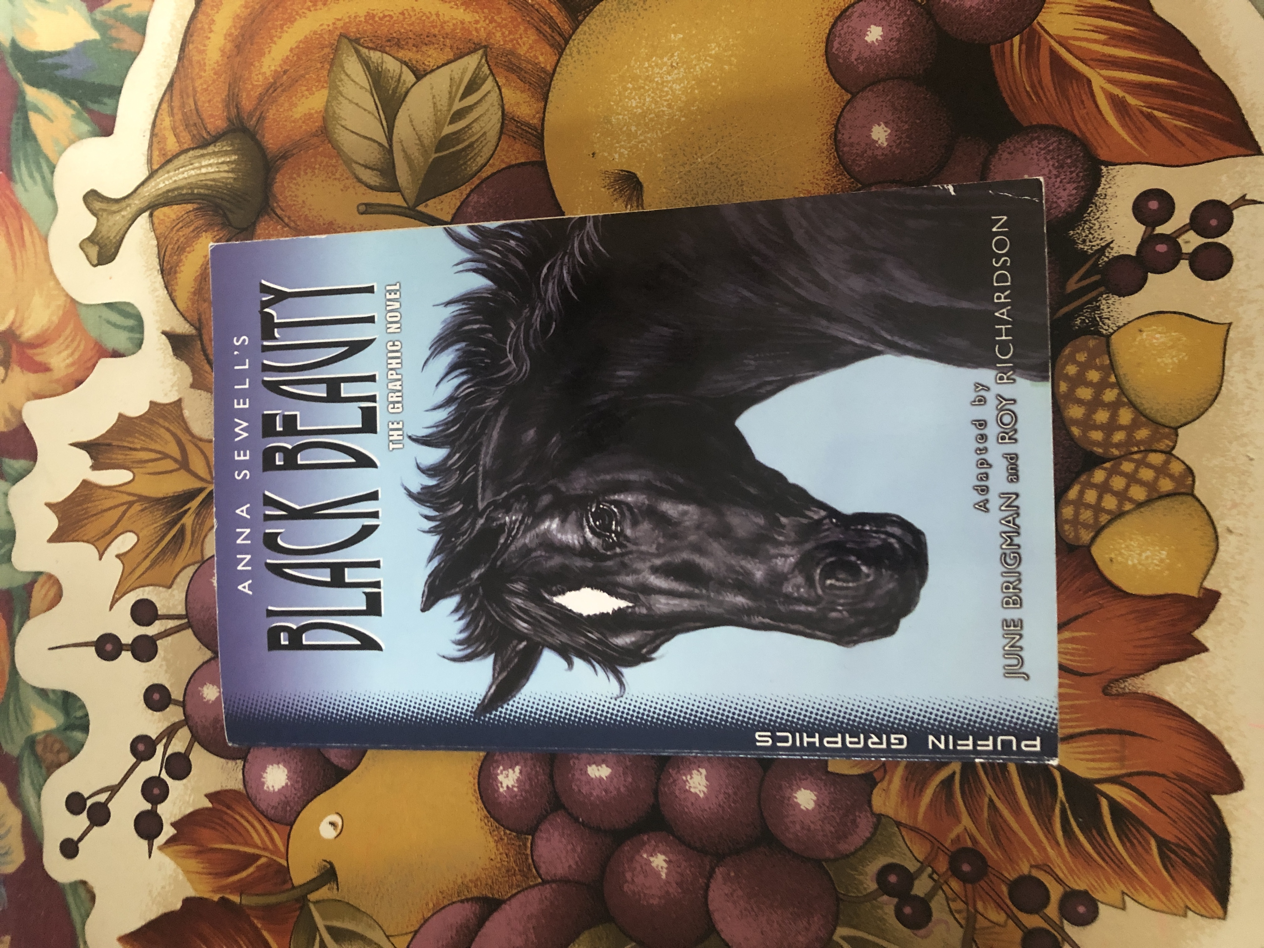 Puffin Graphics: Black Beauty
