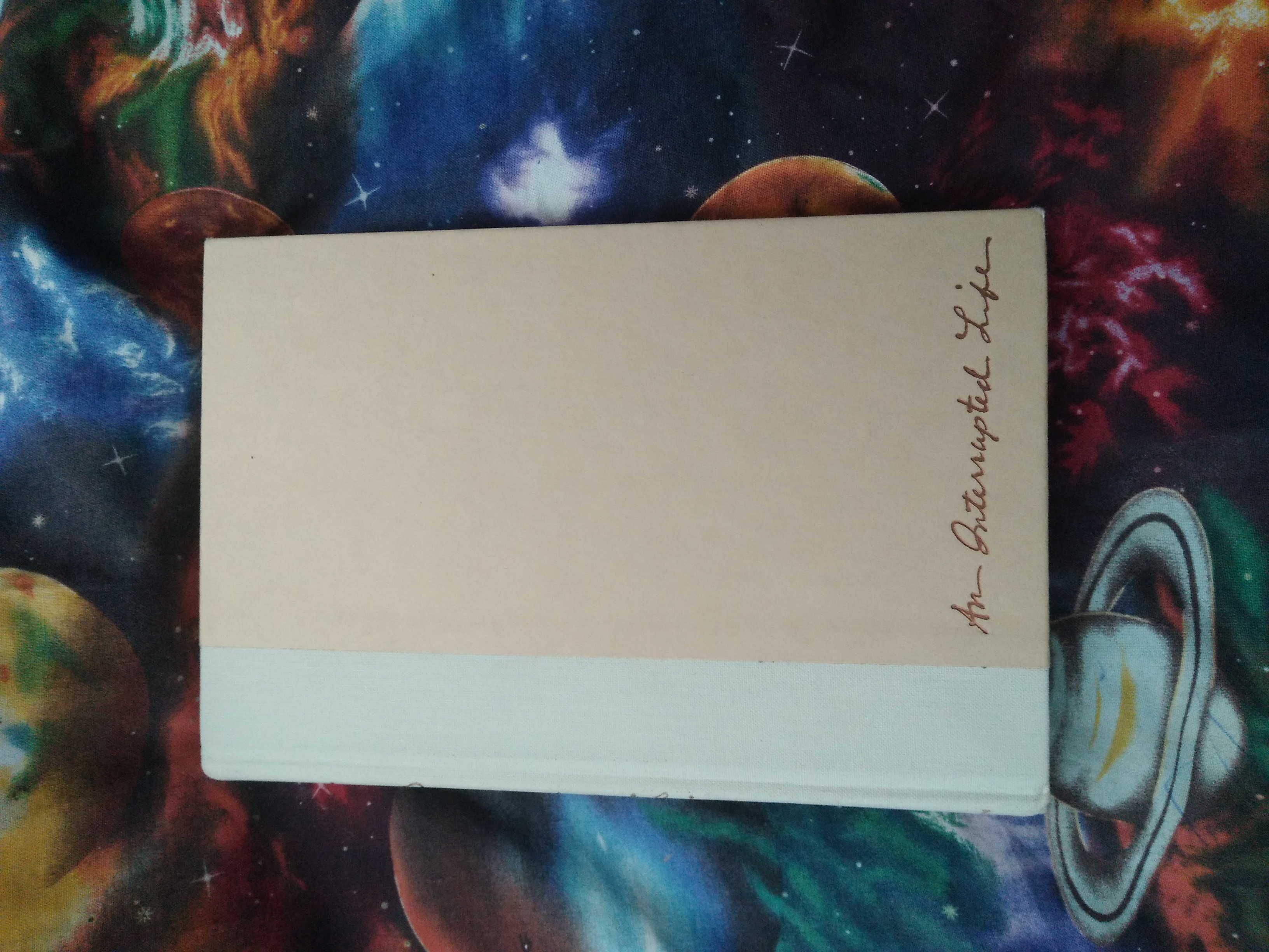 An Interrupted Life by Etty Hillesum; Arnold J. Pomerans (Translator ...
