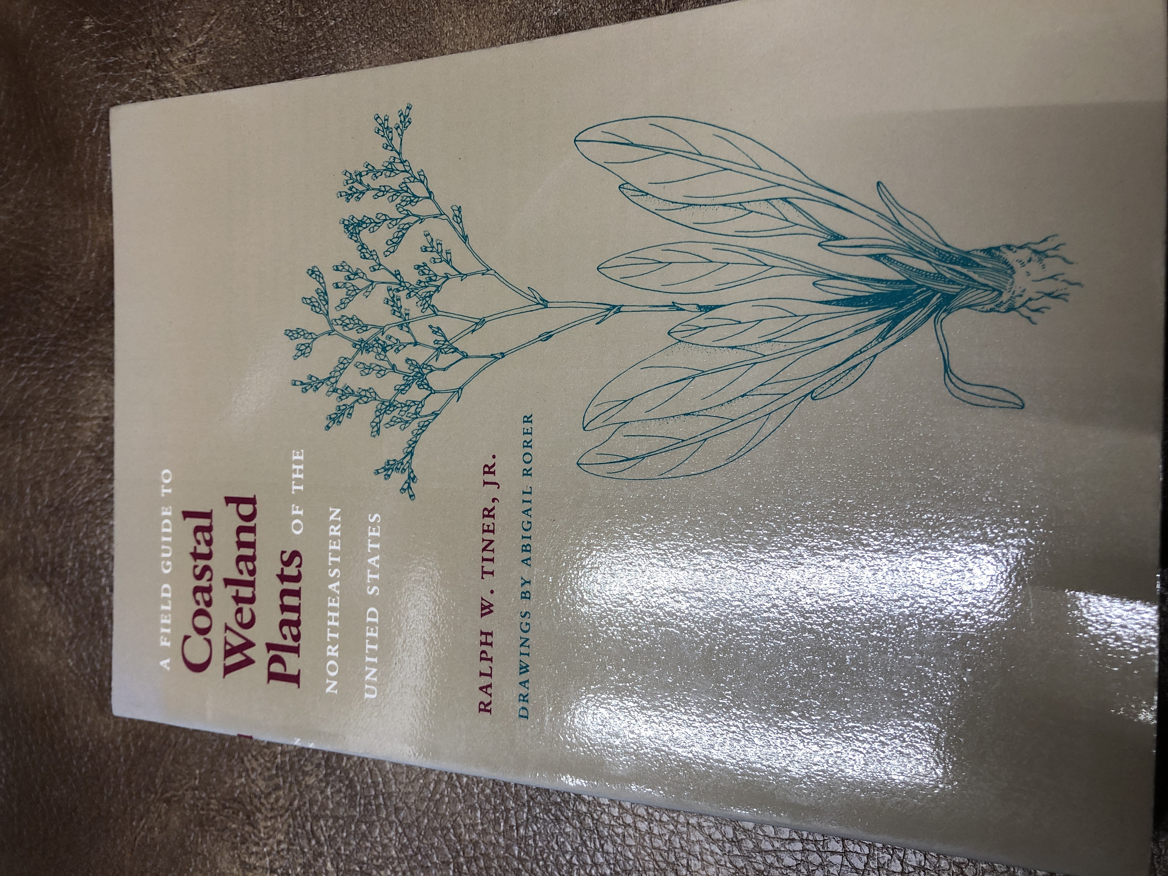 A Field Guide to Coastal Wetland Plants of the North-Eastern United States