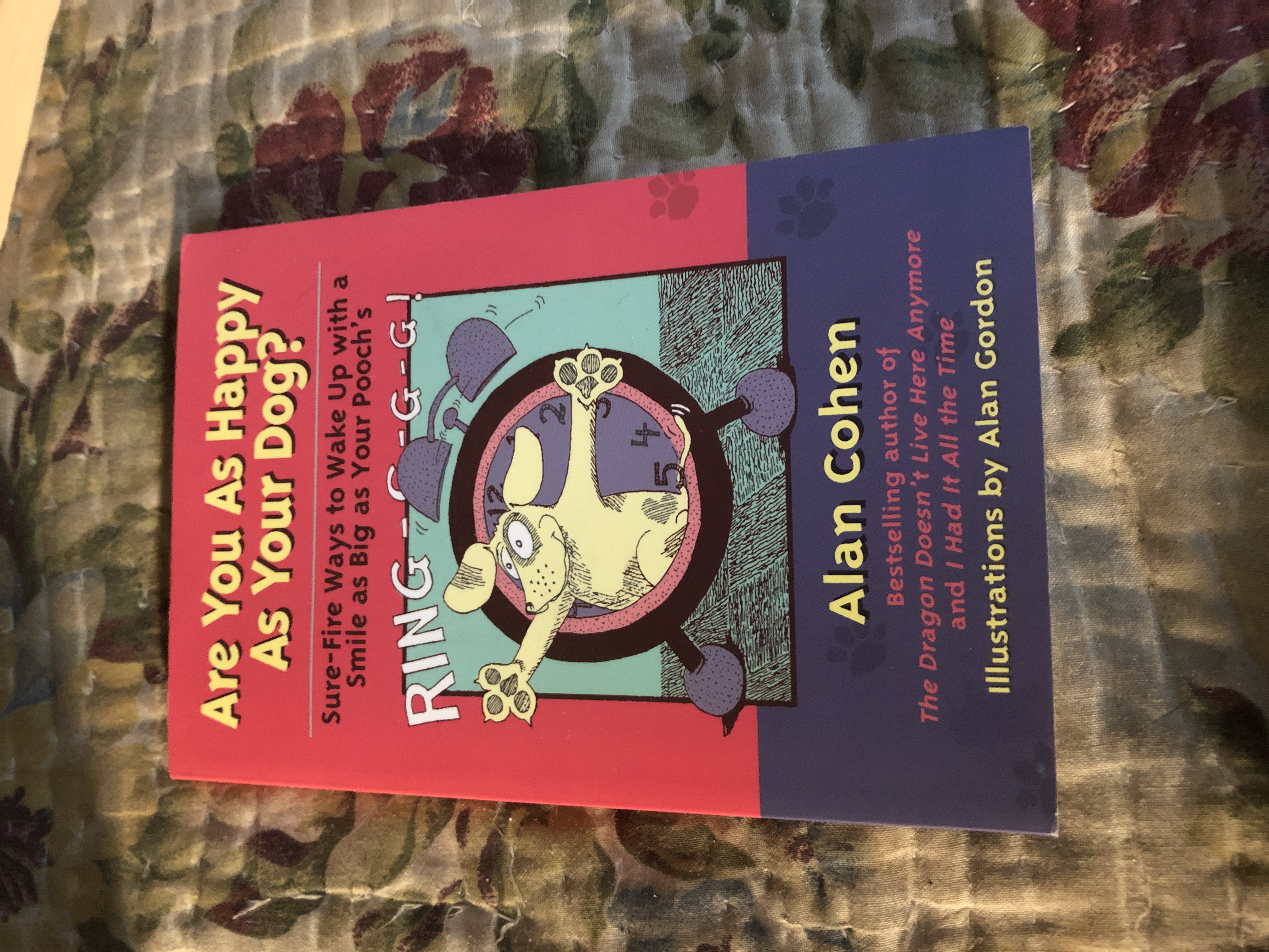 Are You as Happy as Your Dog?