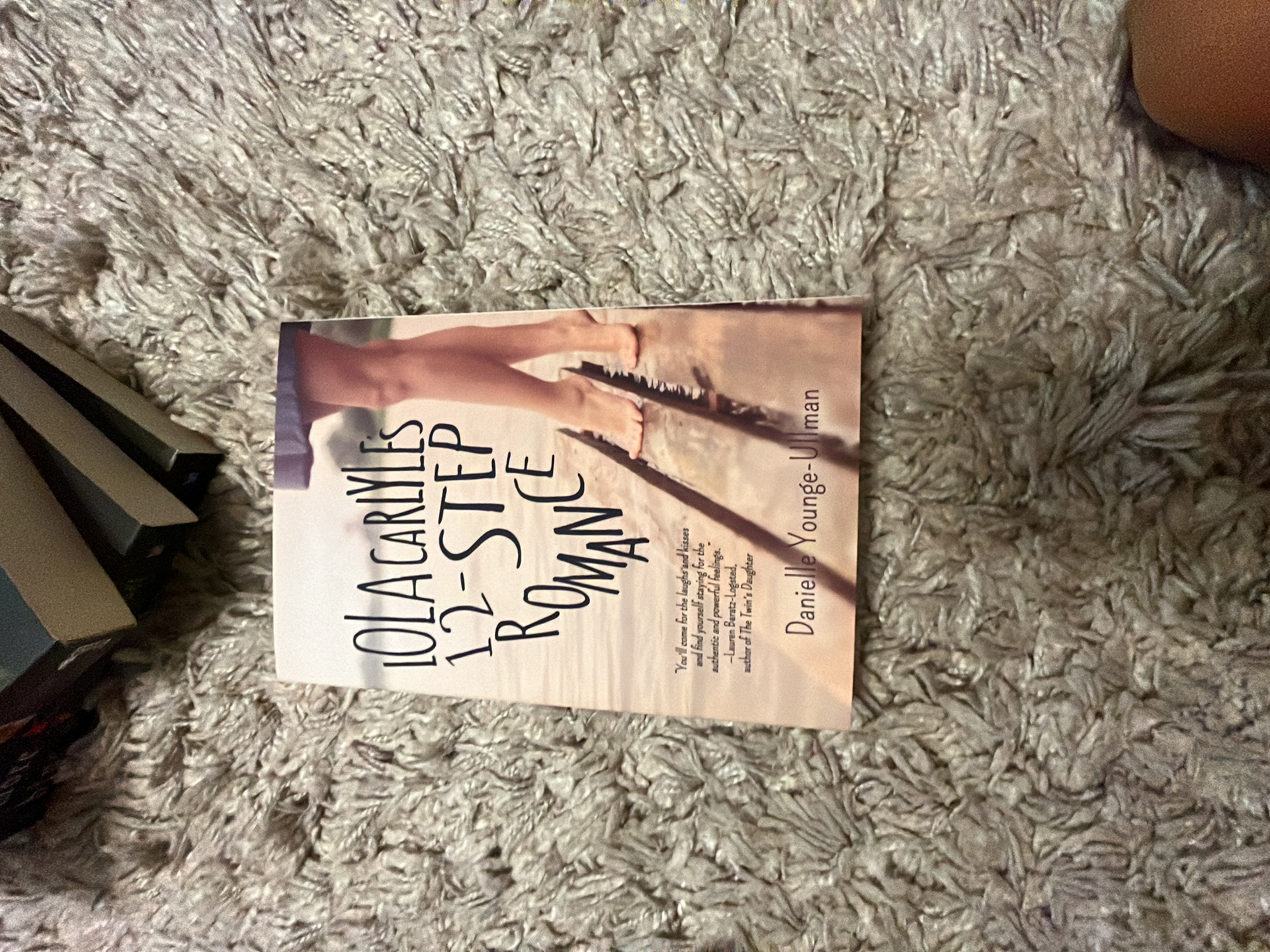 Lola Carlyle's 12-Step Romance by Danielle Younge-Ullman, Paperback ...