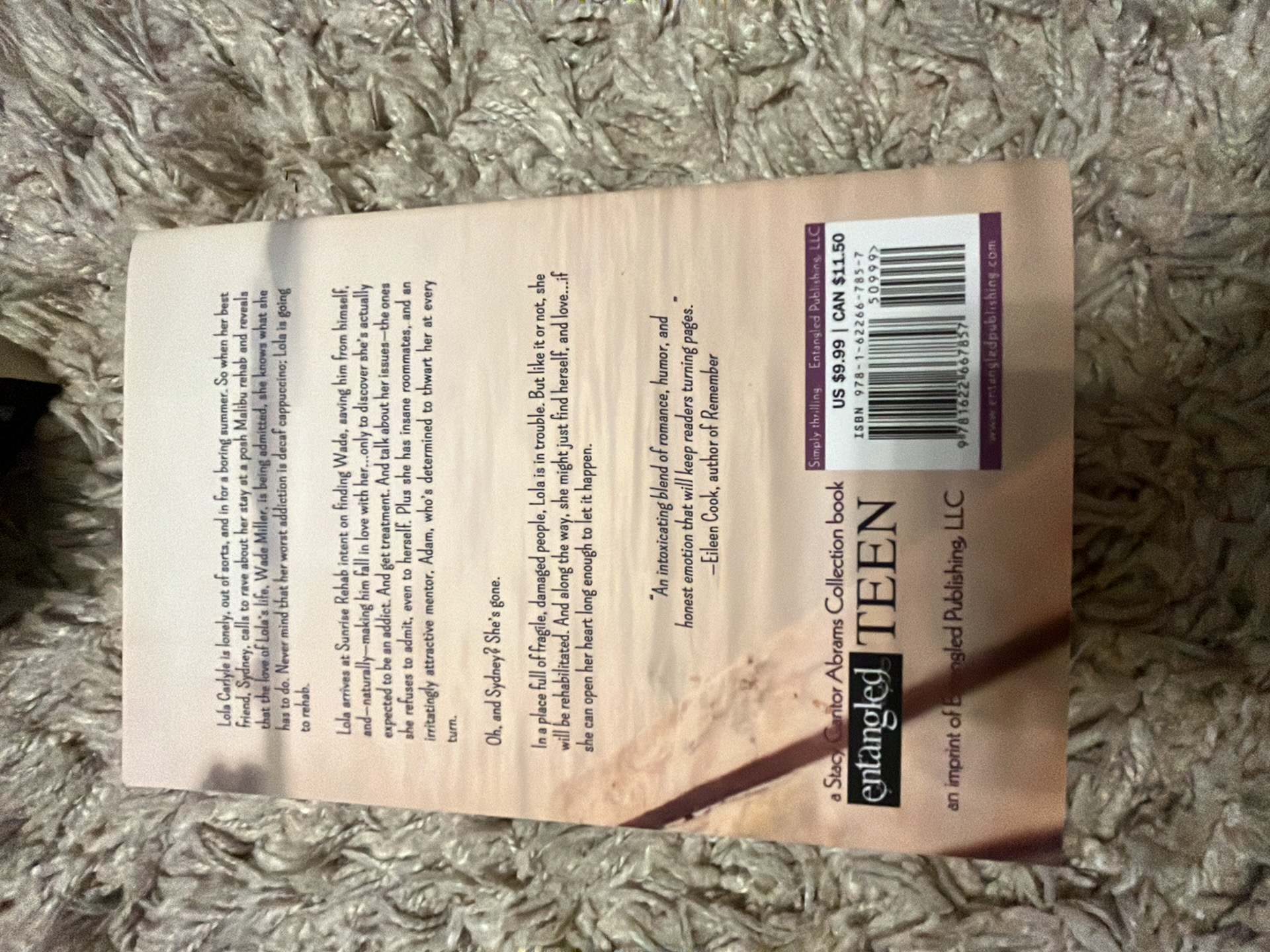 Lola Carlyle's 12-Step Romance by Danielle Younge-Ullman, Paperback ...