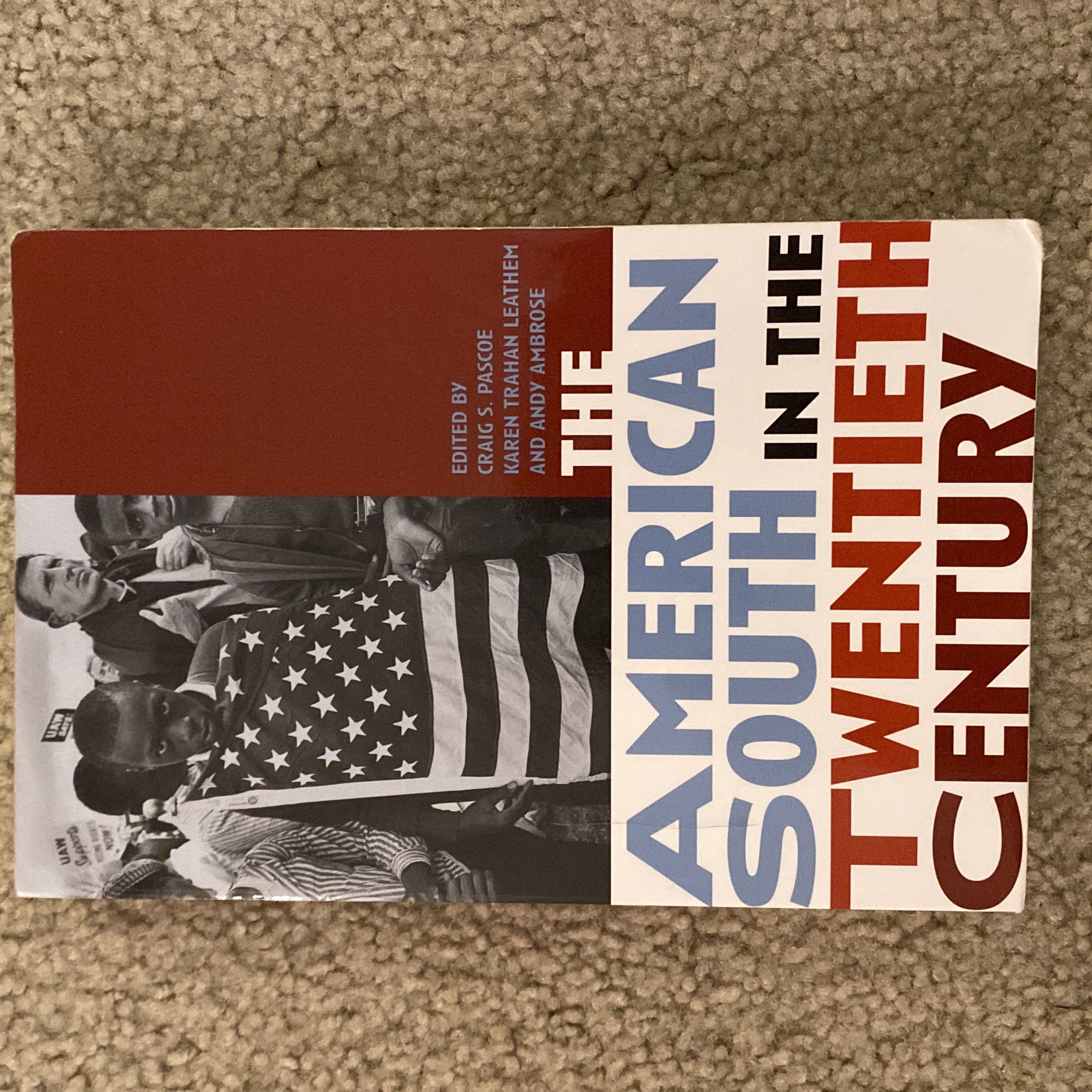 The American South in the Twentieth Century