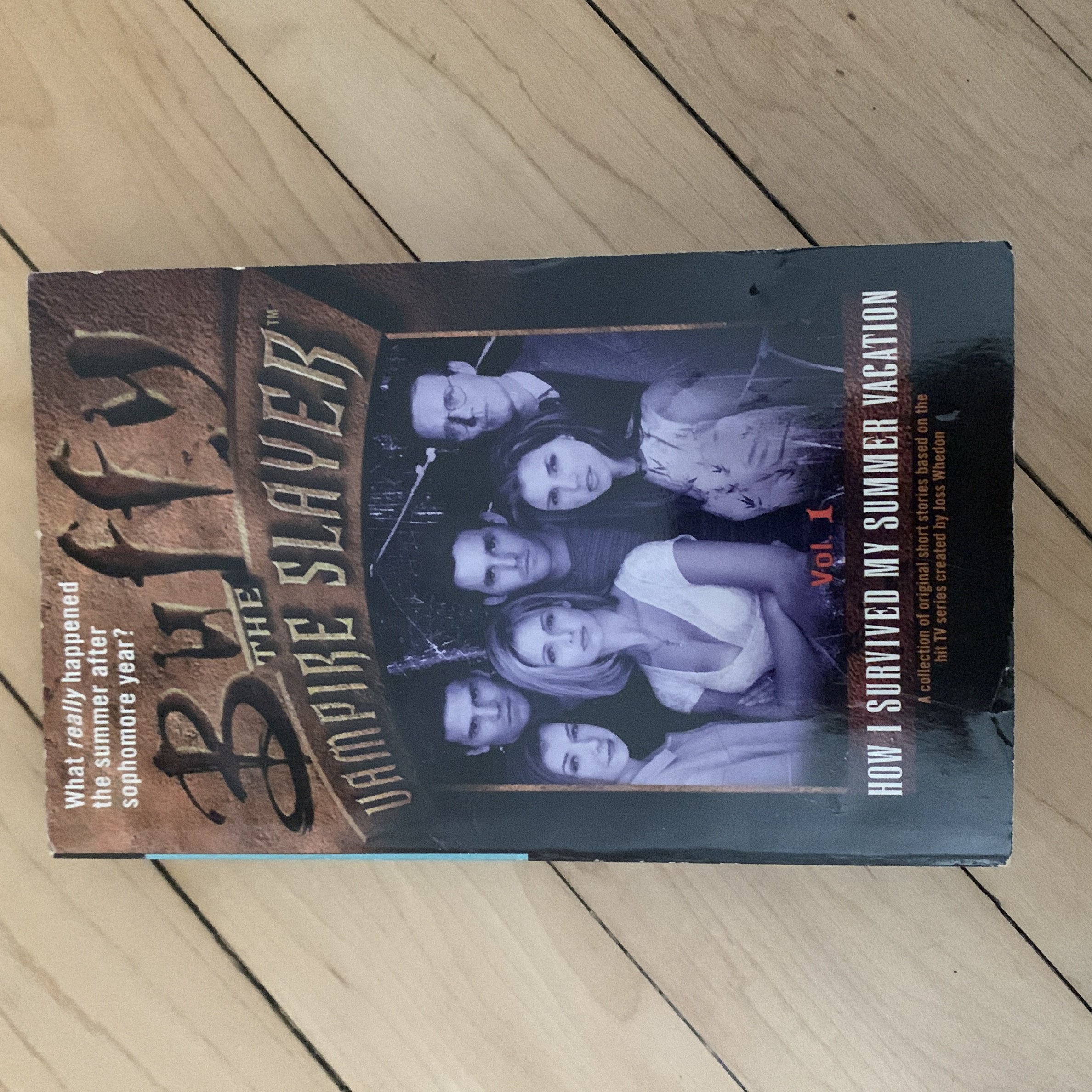 How I Survived My Summer Vacation