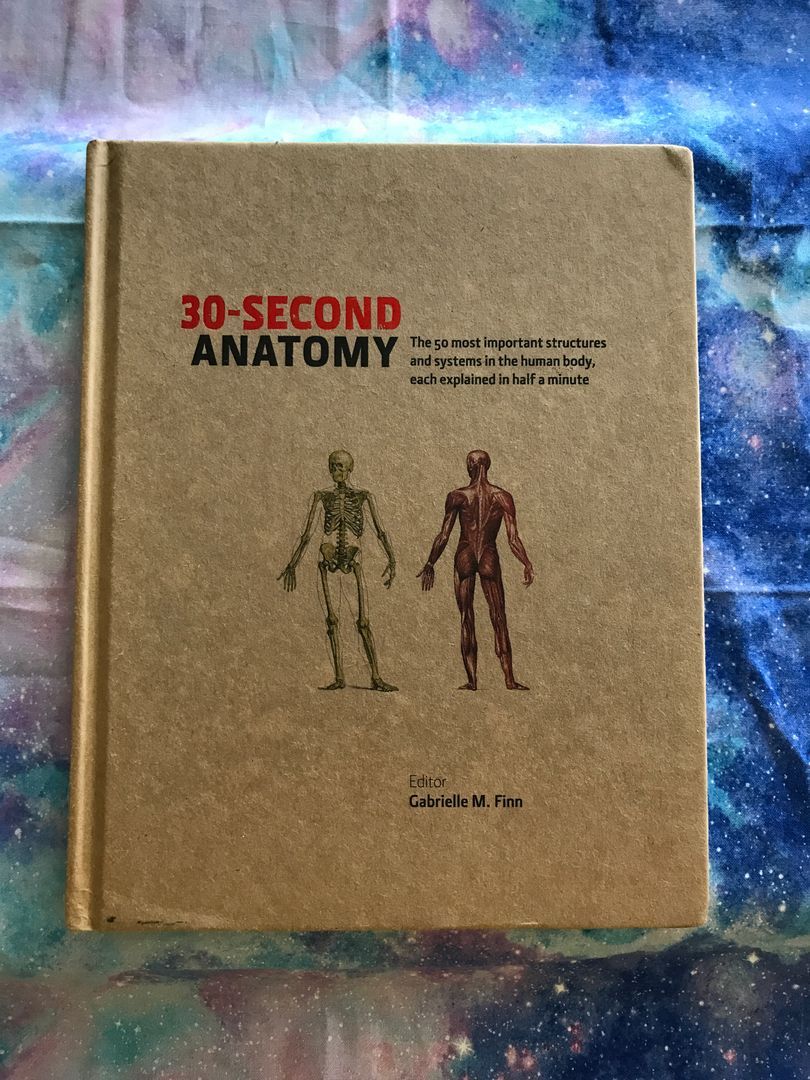 30-Second Anatomy