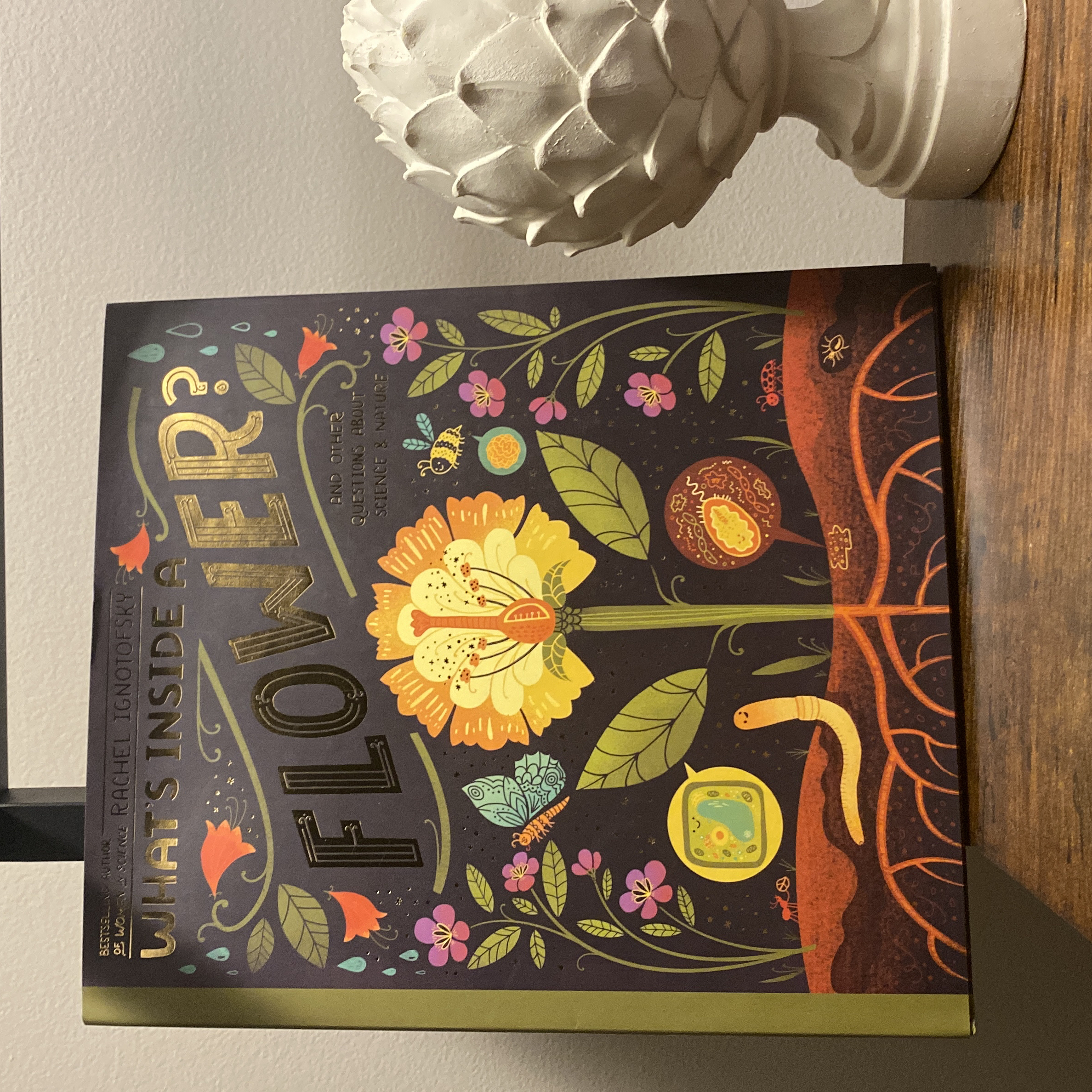 What's Inside a Flower?