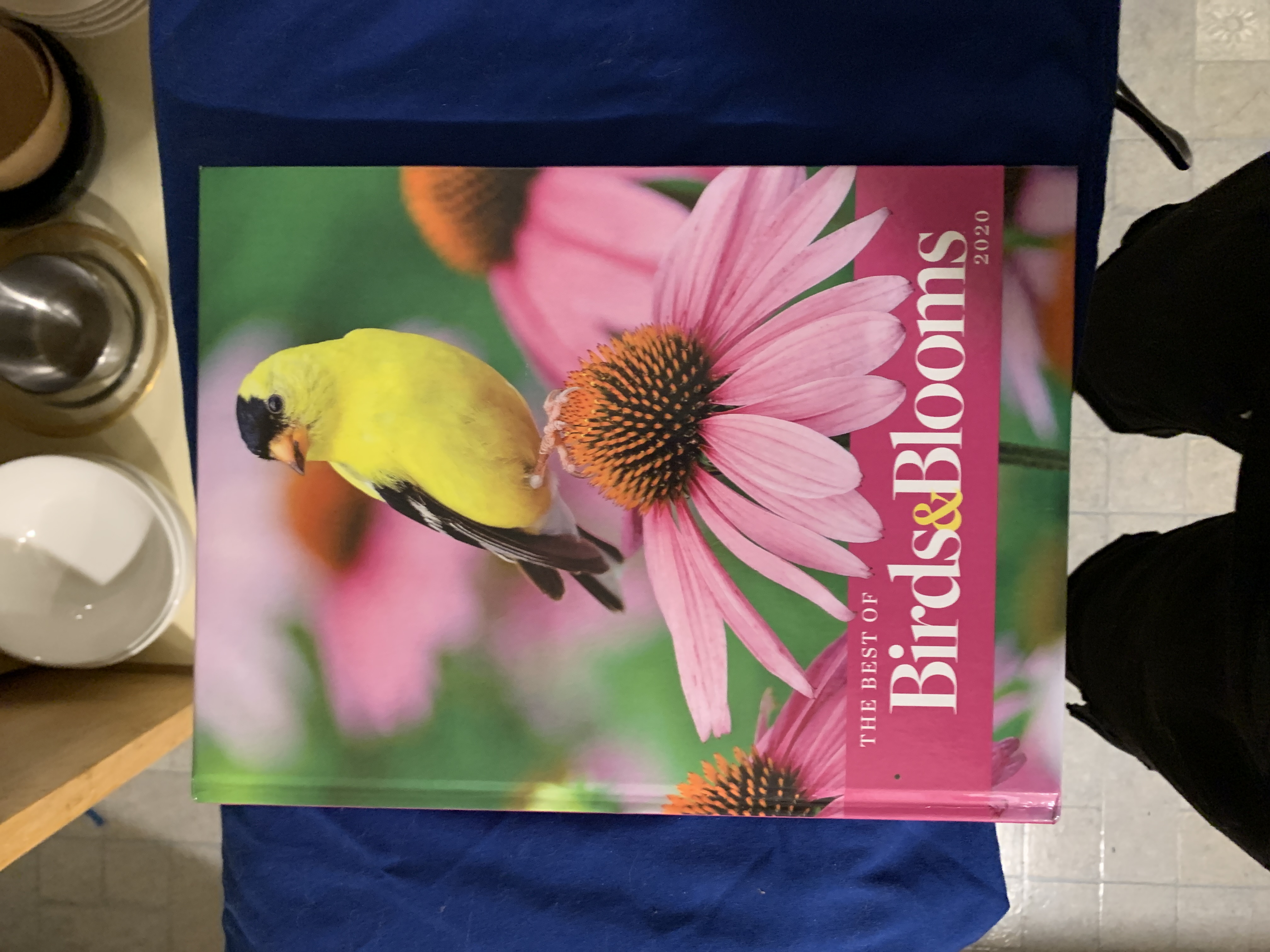 The Best Of Birds & Bloom 2020