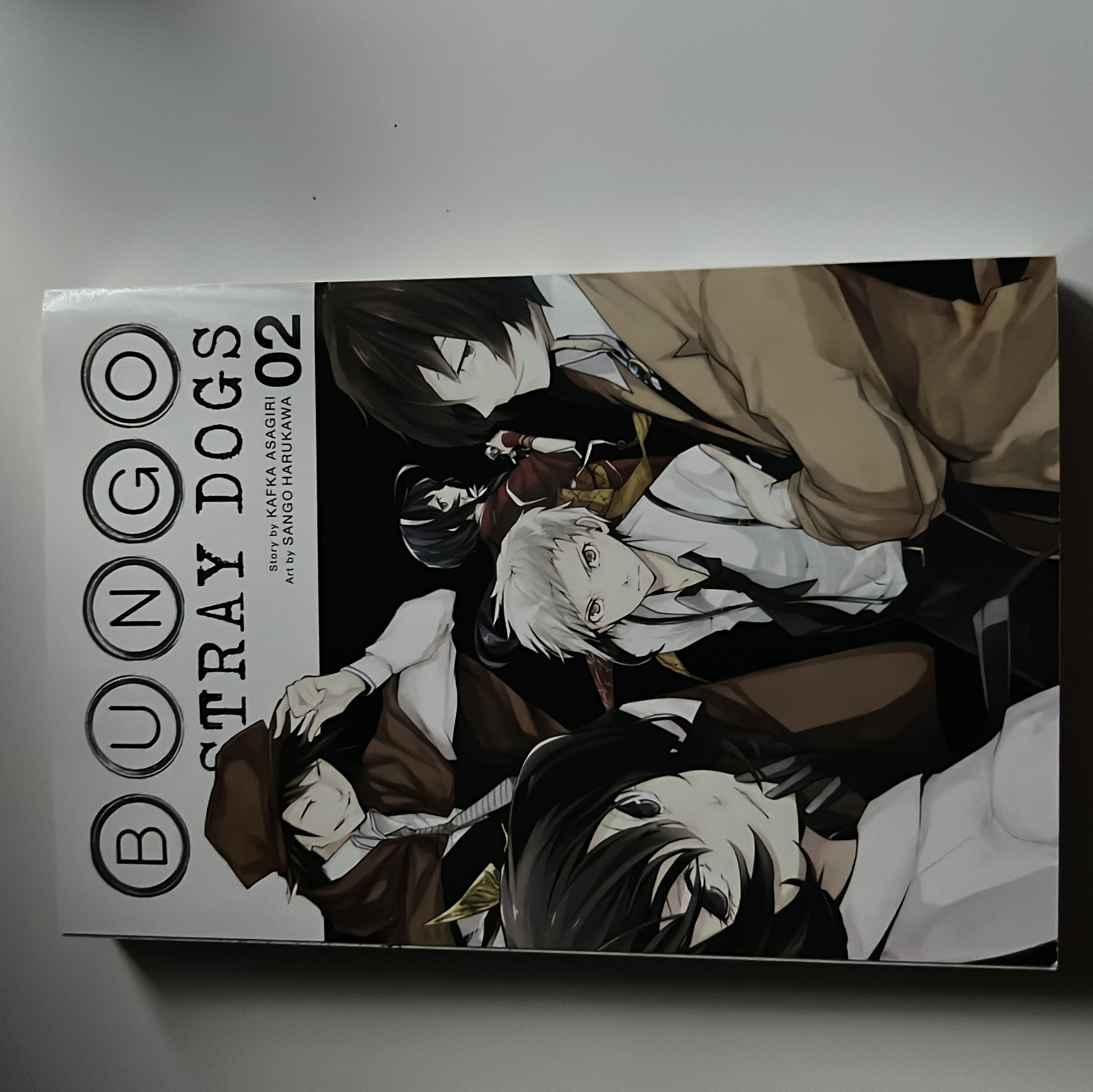 Bungo Stray Dogs, Vol. 2