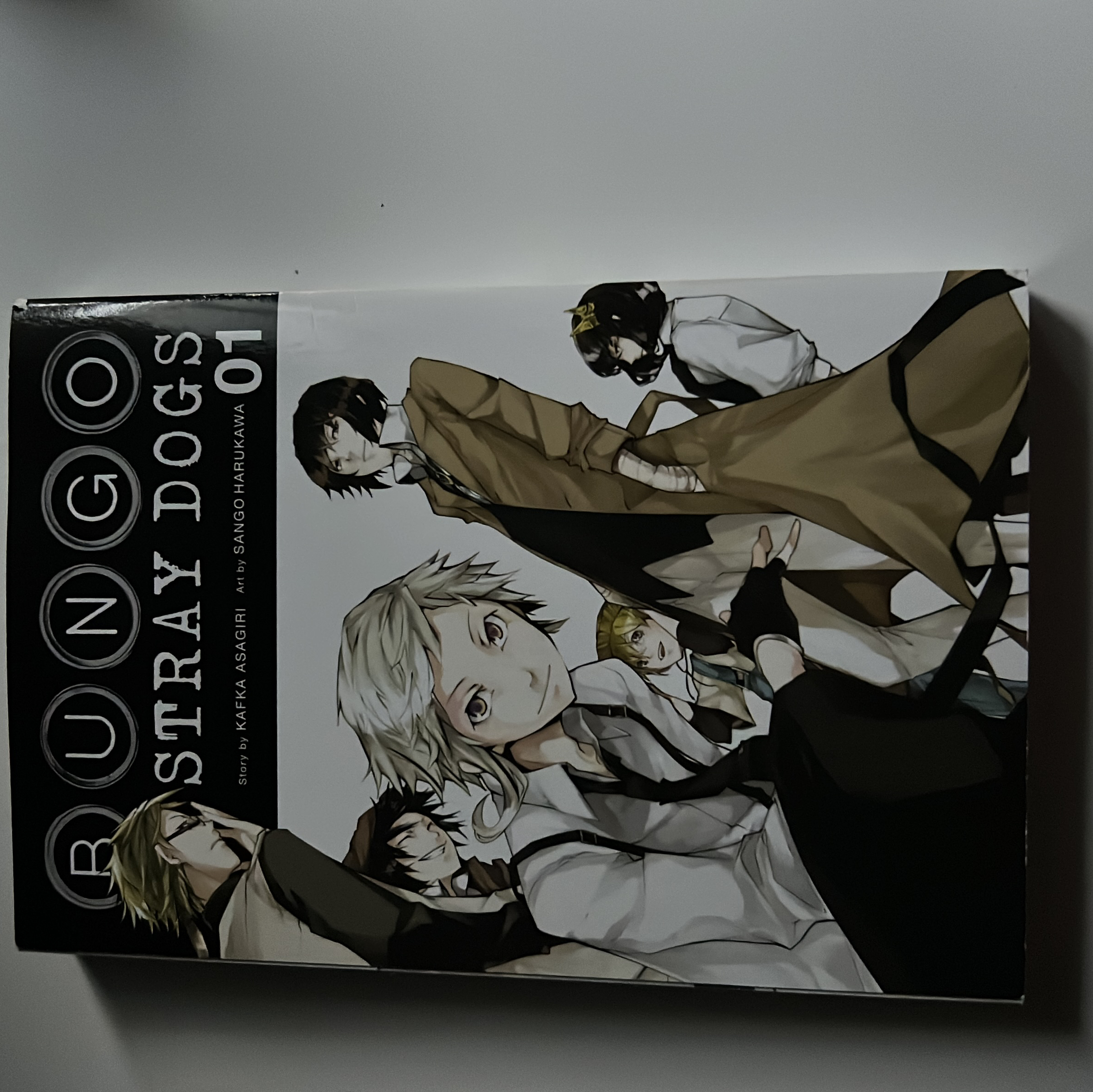 Bungo Stray Dogs, Vol. 1