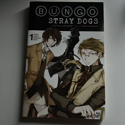 Bungo Stray Dogs, Vol. 1 (light Novel)