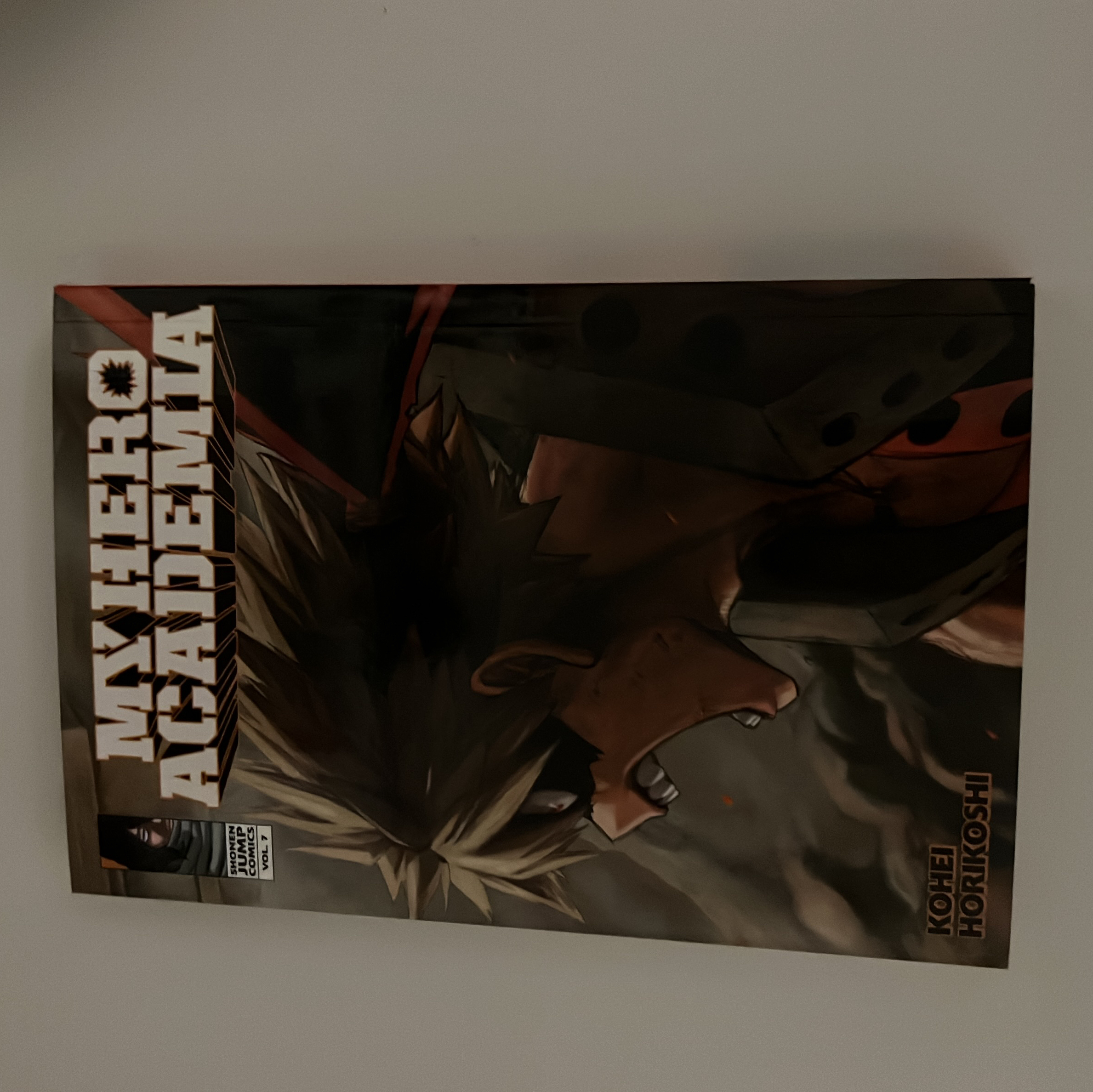 My Hero Academia, Vol. 7