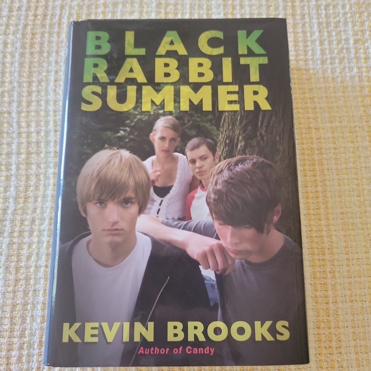 Black Rabbit Summer by Kevin Brooks