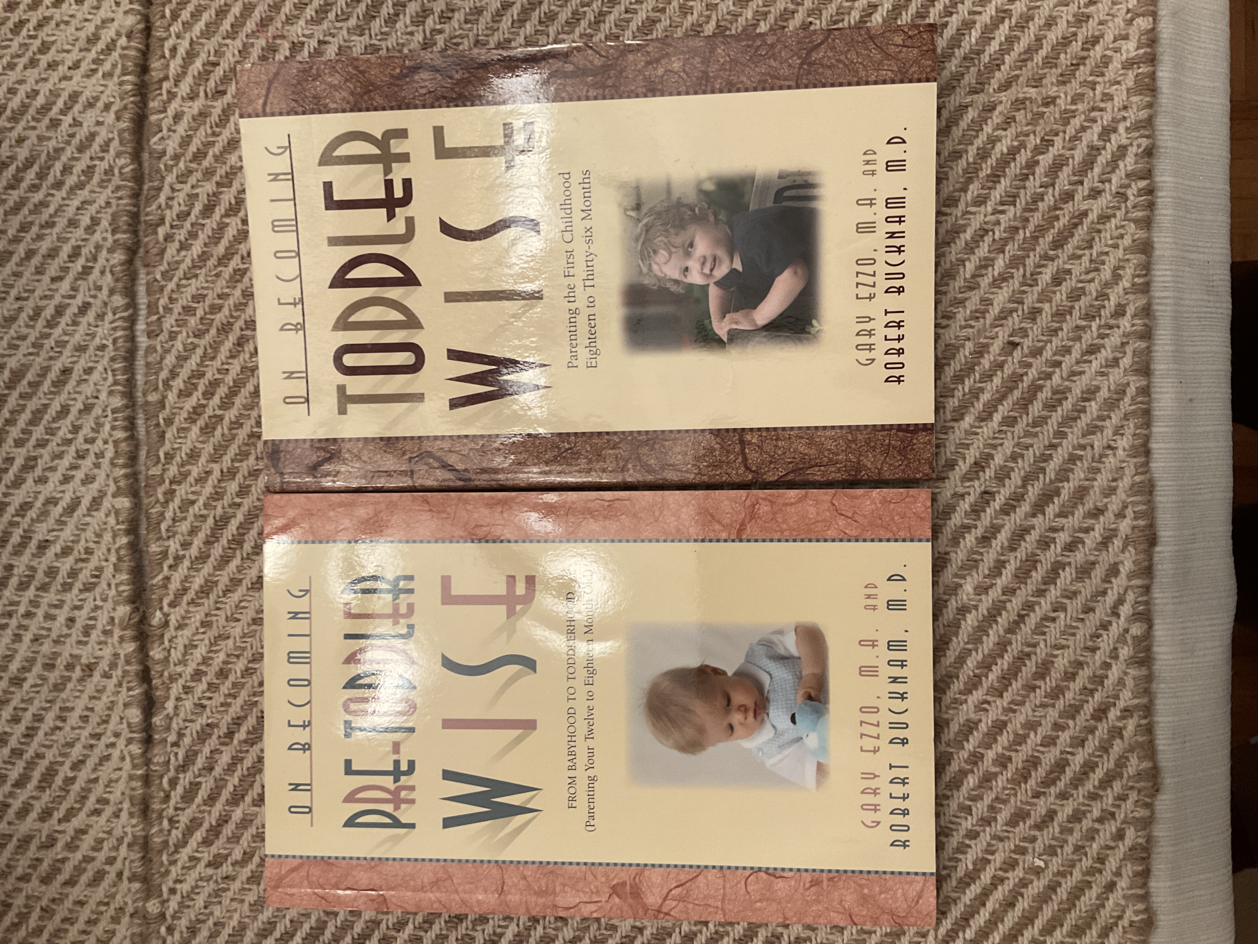 On Becoming Pretoddlerwise