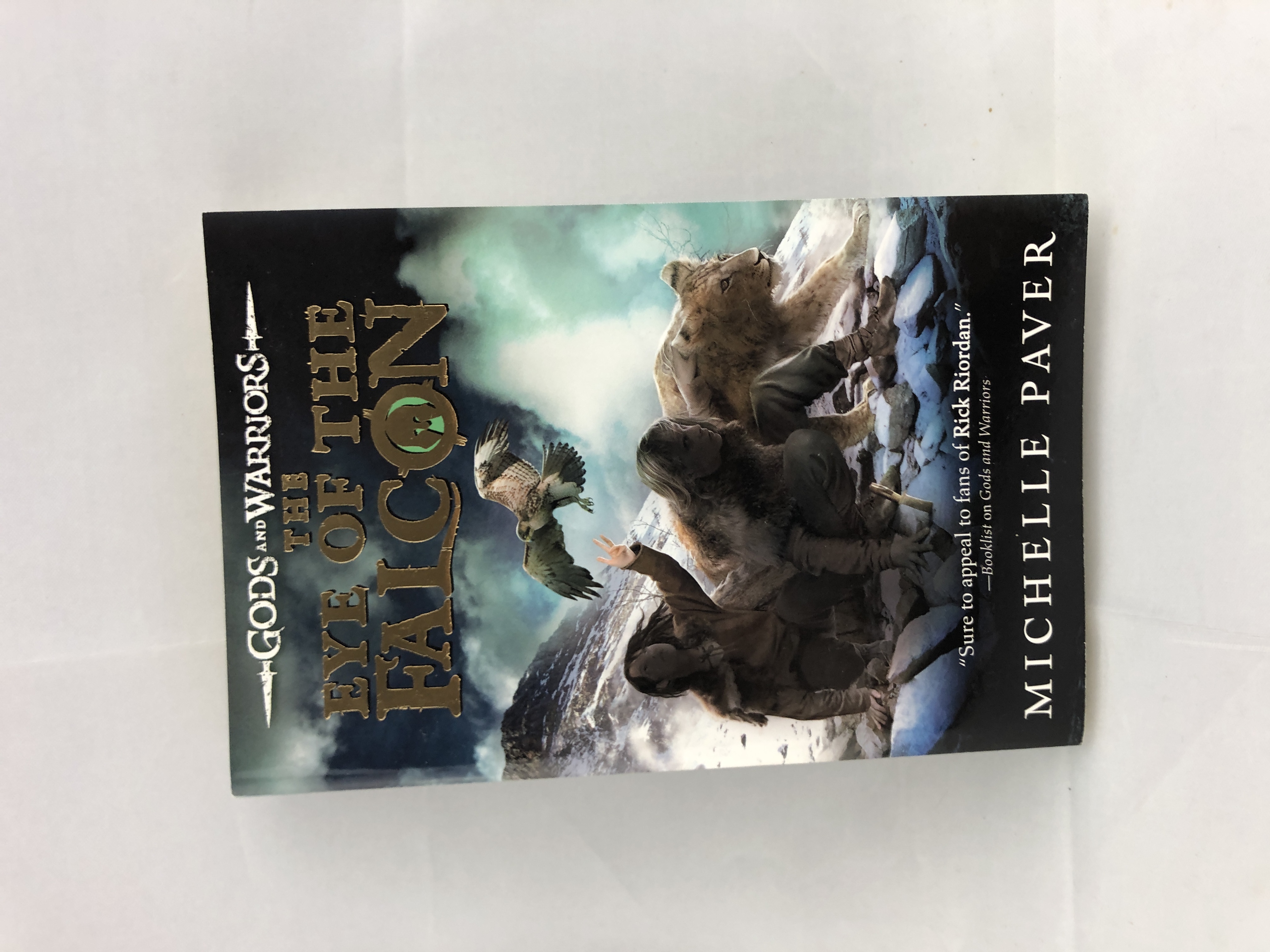 The Eye of the Falcon