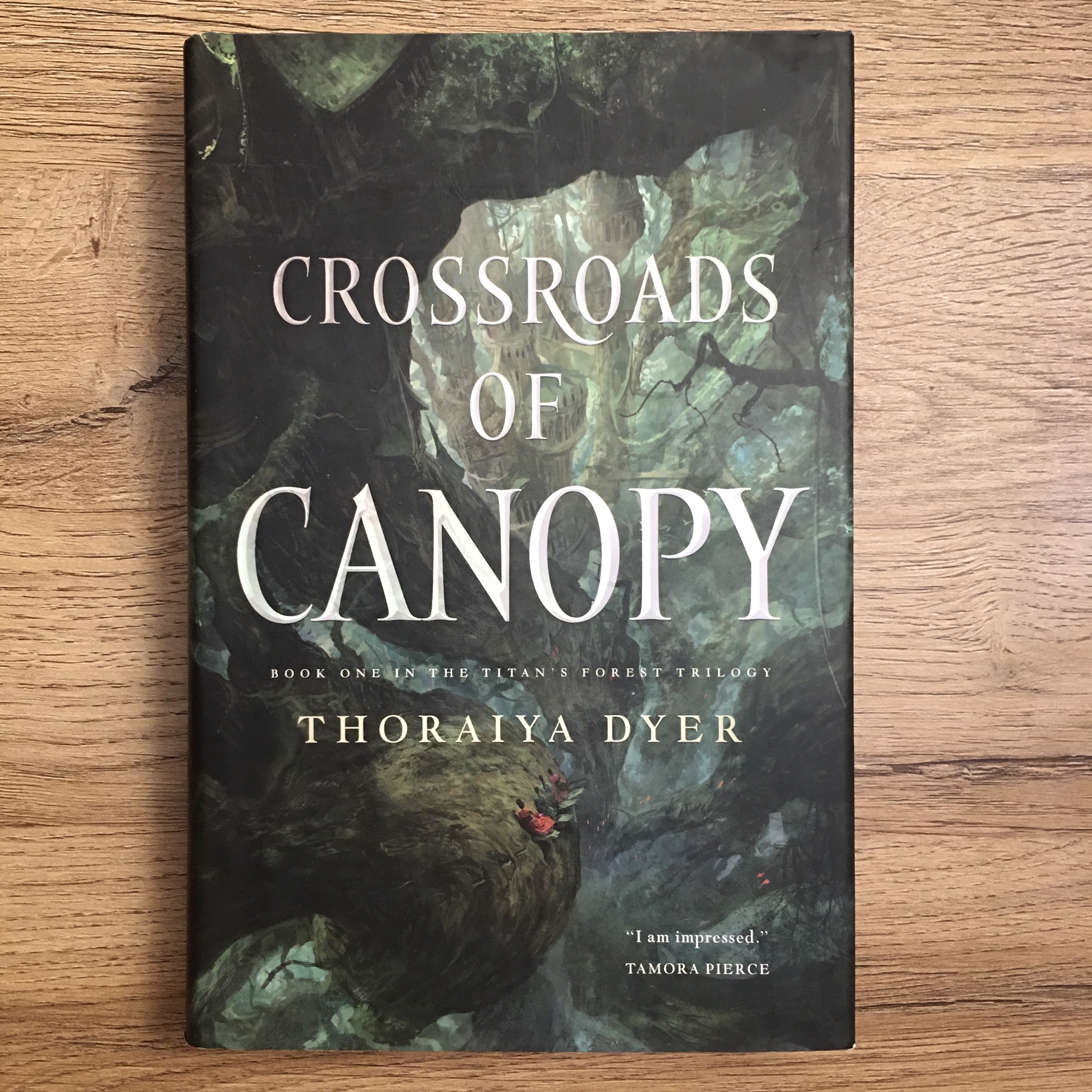 Crossroads of Canopy