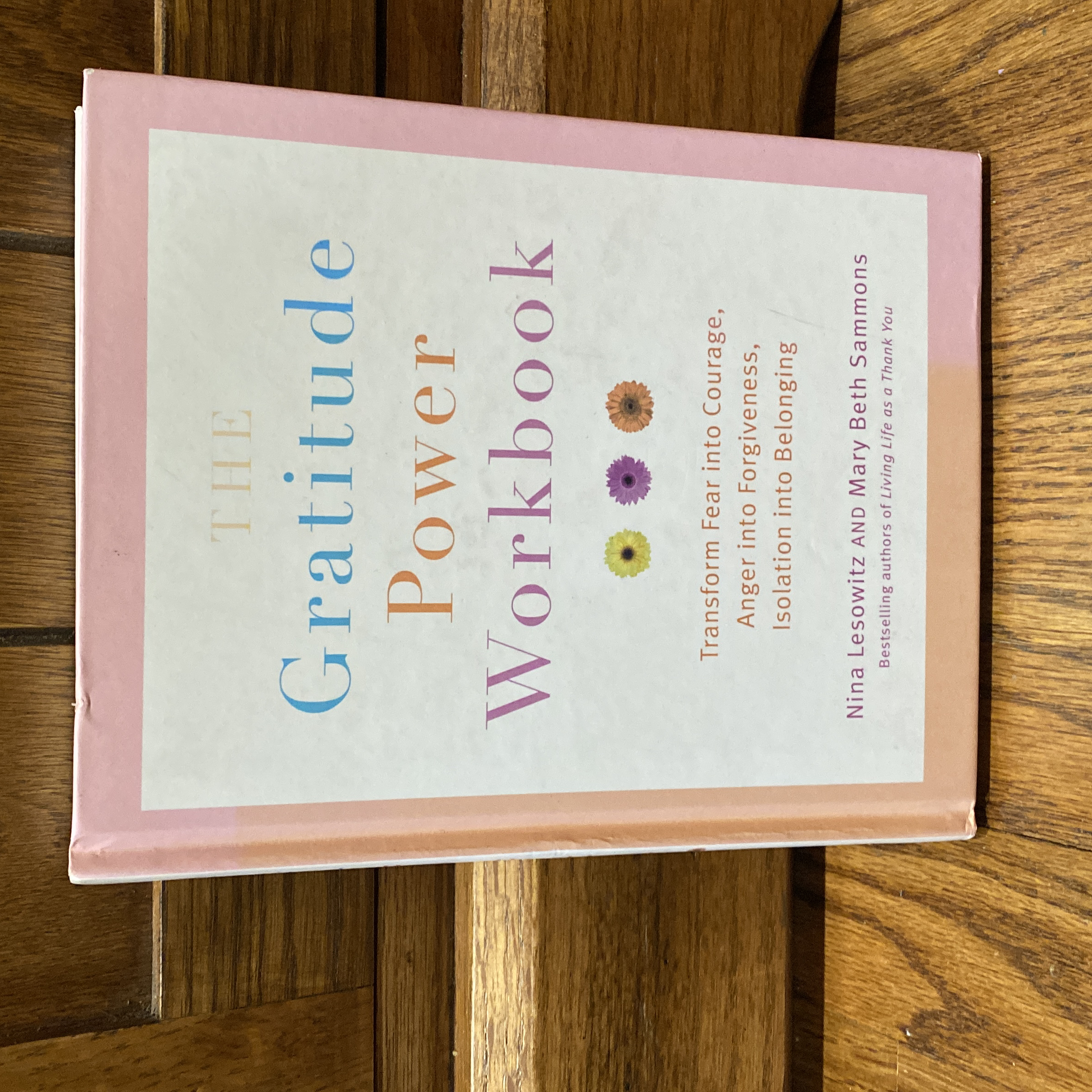 Gratitude Power Workbook