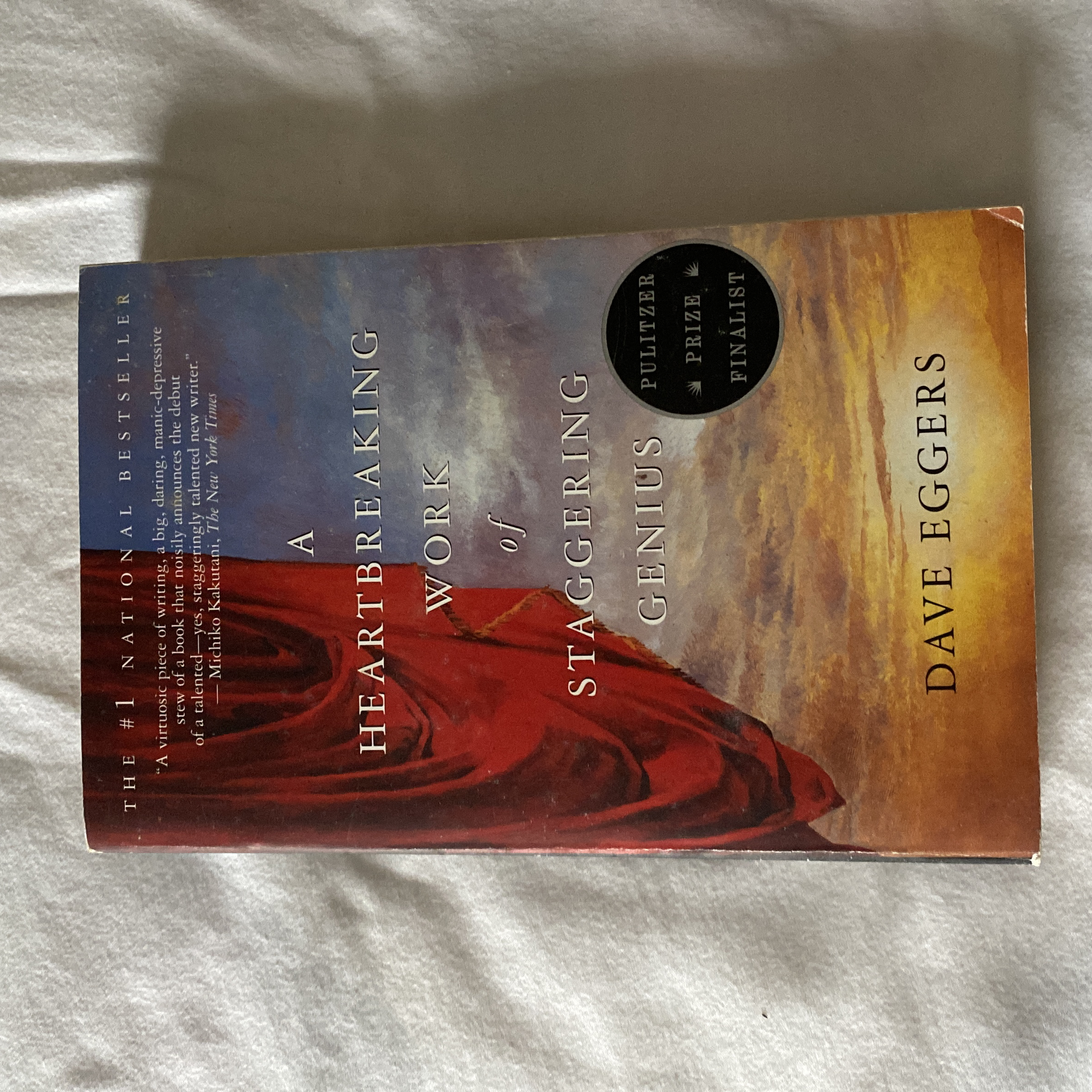 A Heartbreaking Work of Staggering Genius