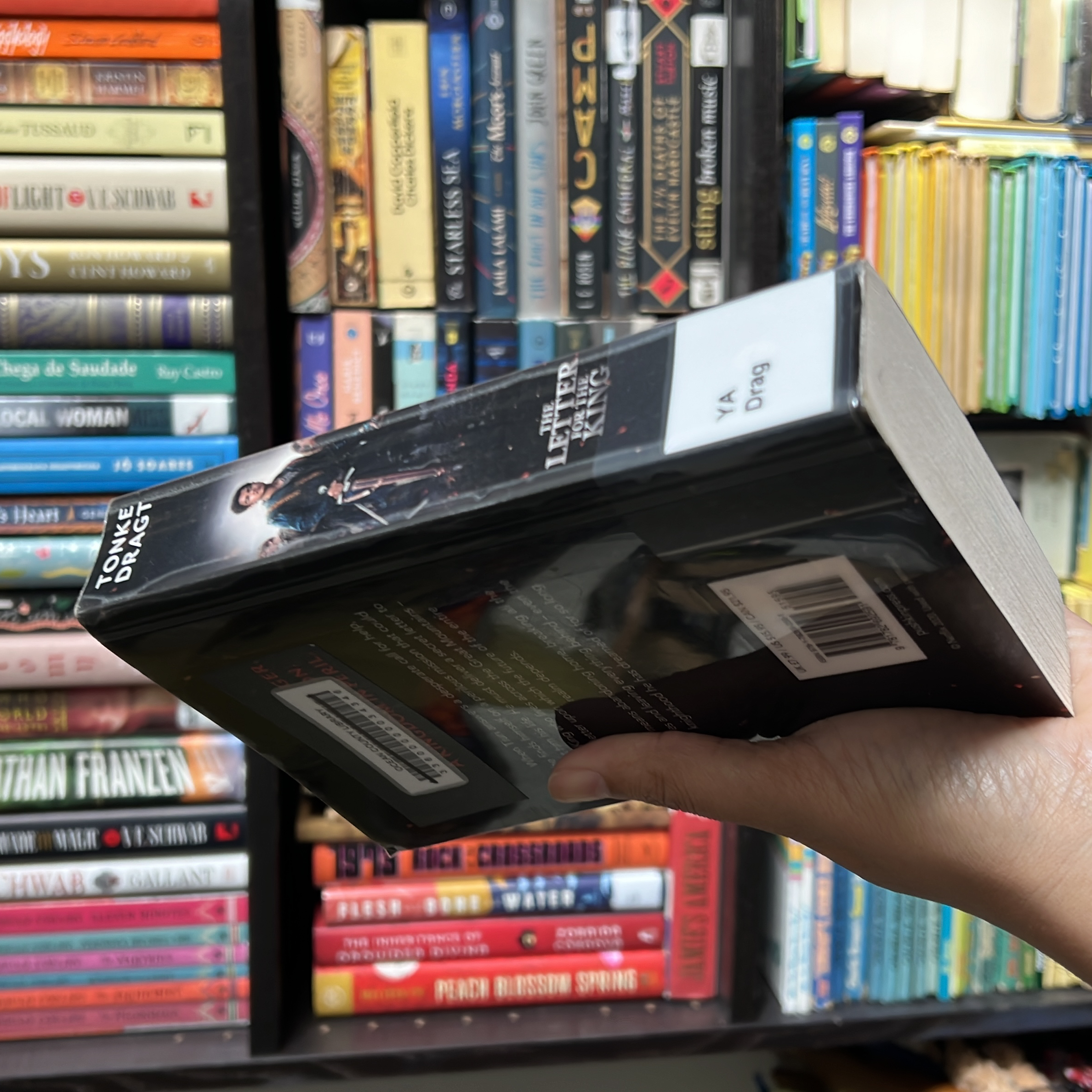 The Letter for the King (Netflix Tie-In)