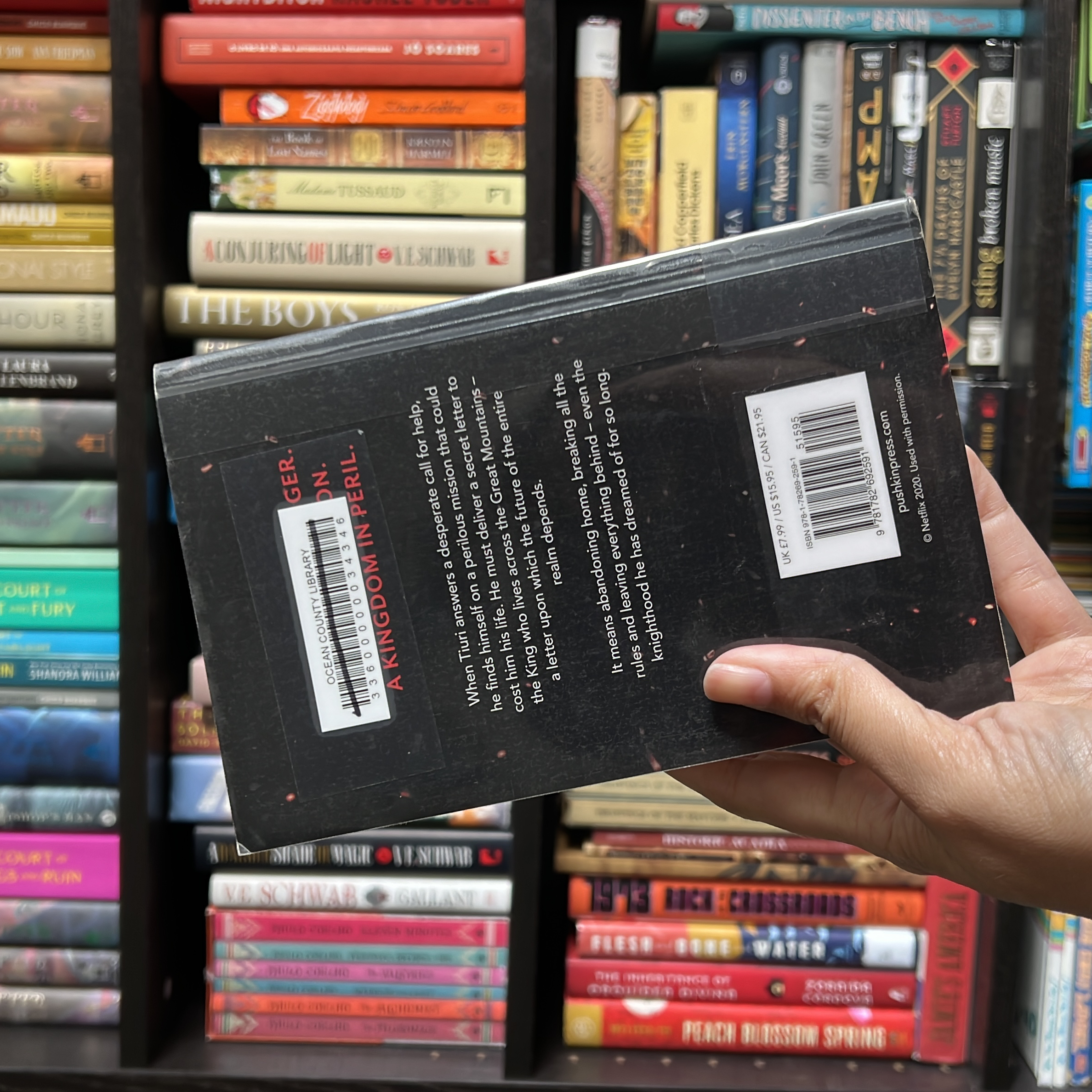 The Letter for the King (Netflix Tie-In)