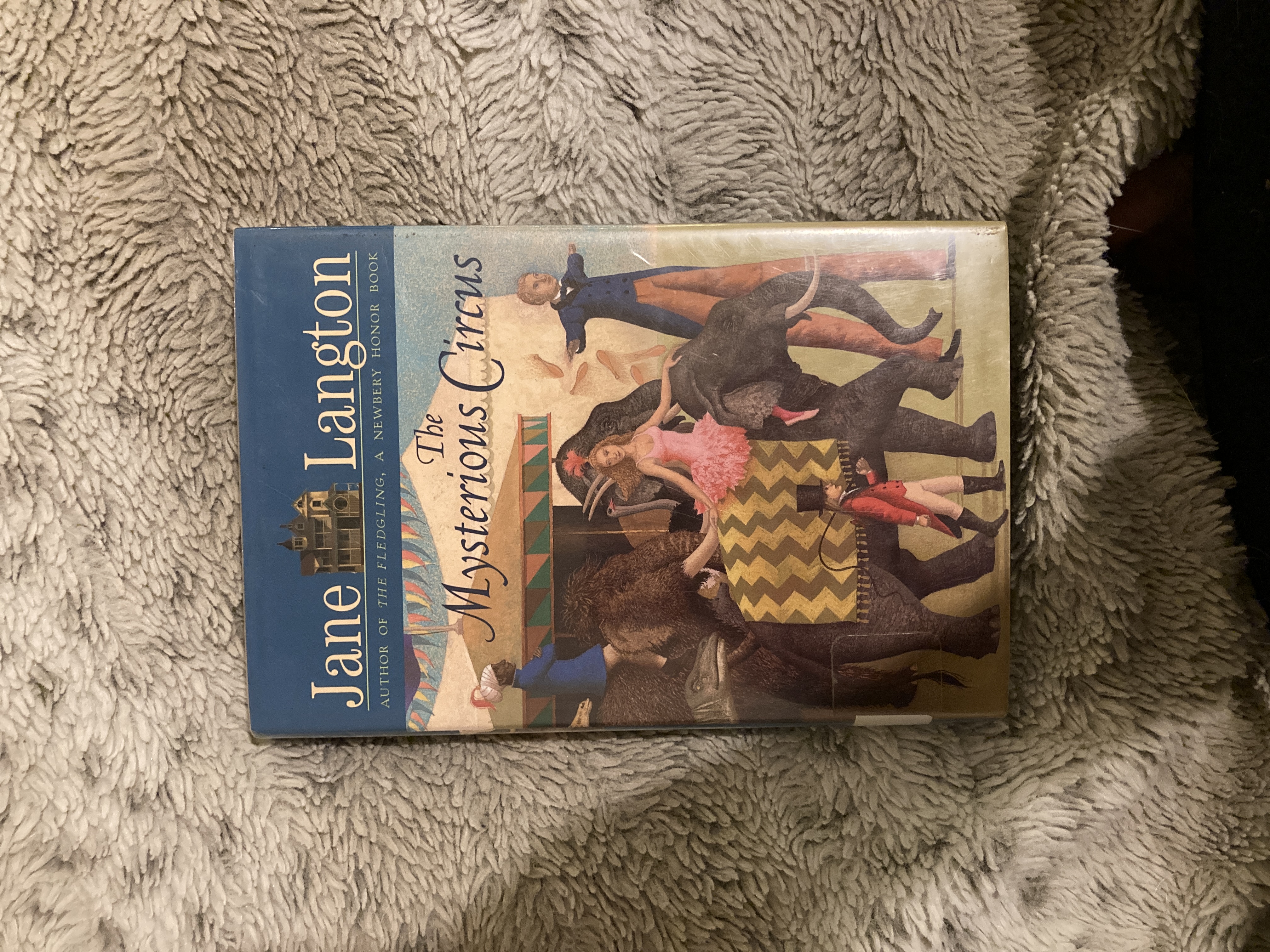 The Mysterious Circus