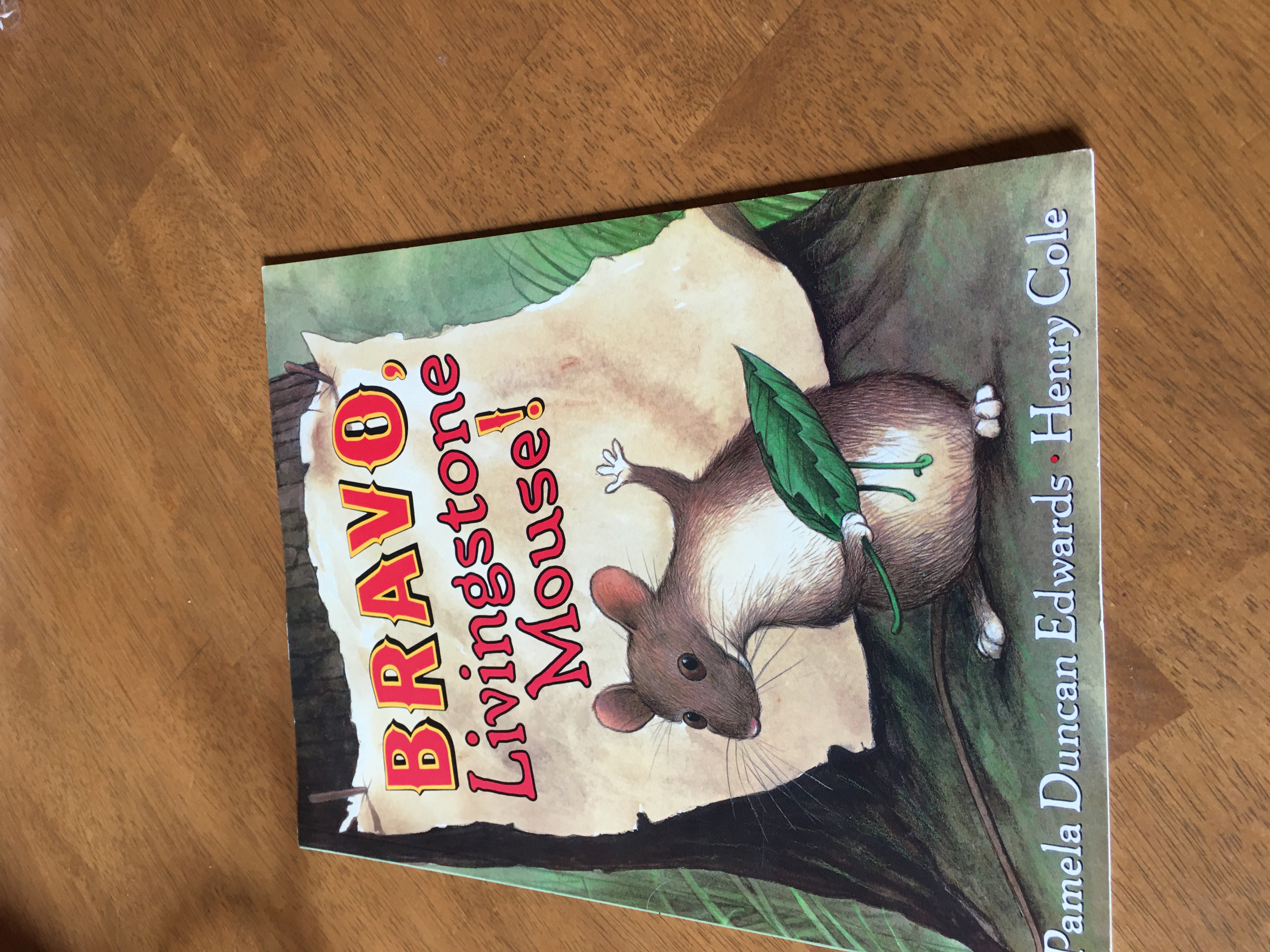 Livingstone Mouse II