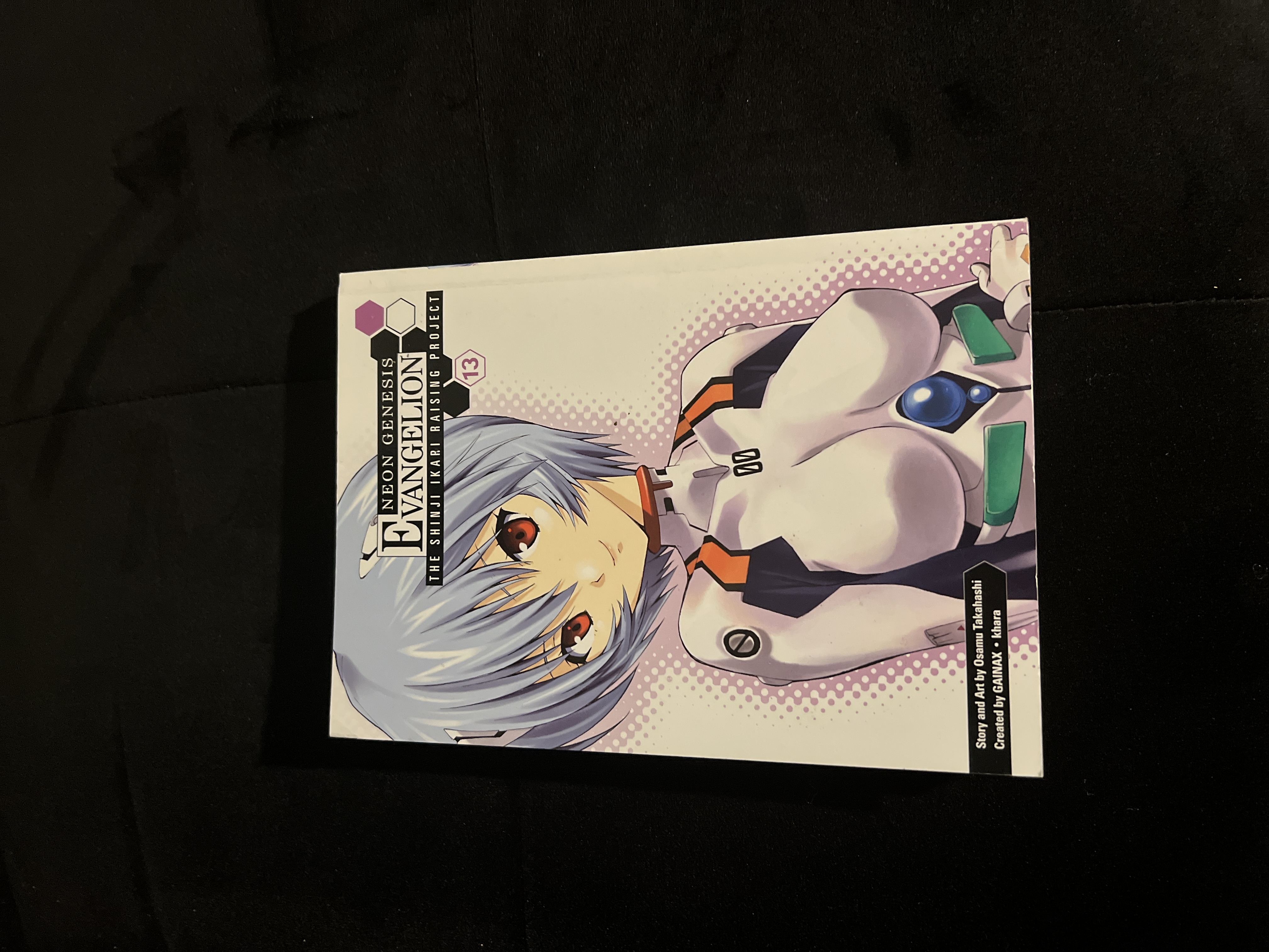 Neon Genesis Evangelion: the Shinji Ikari Raising Project Volume 13