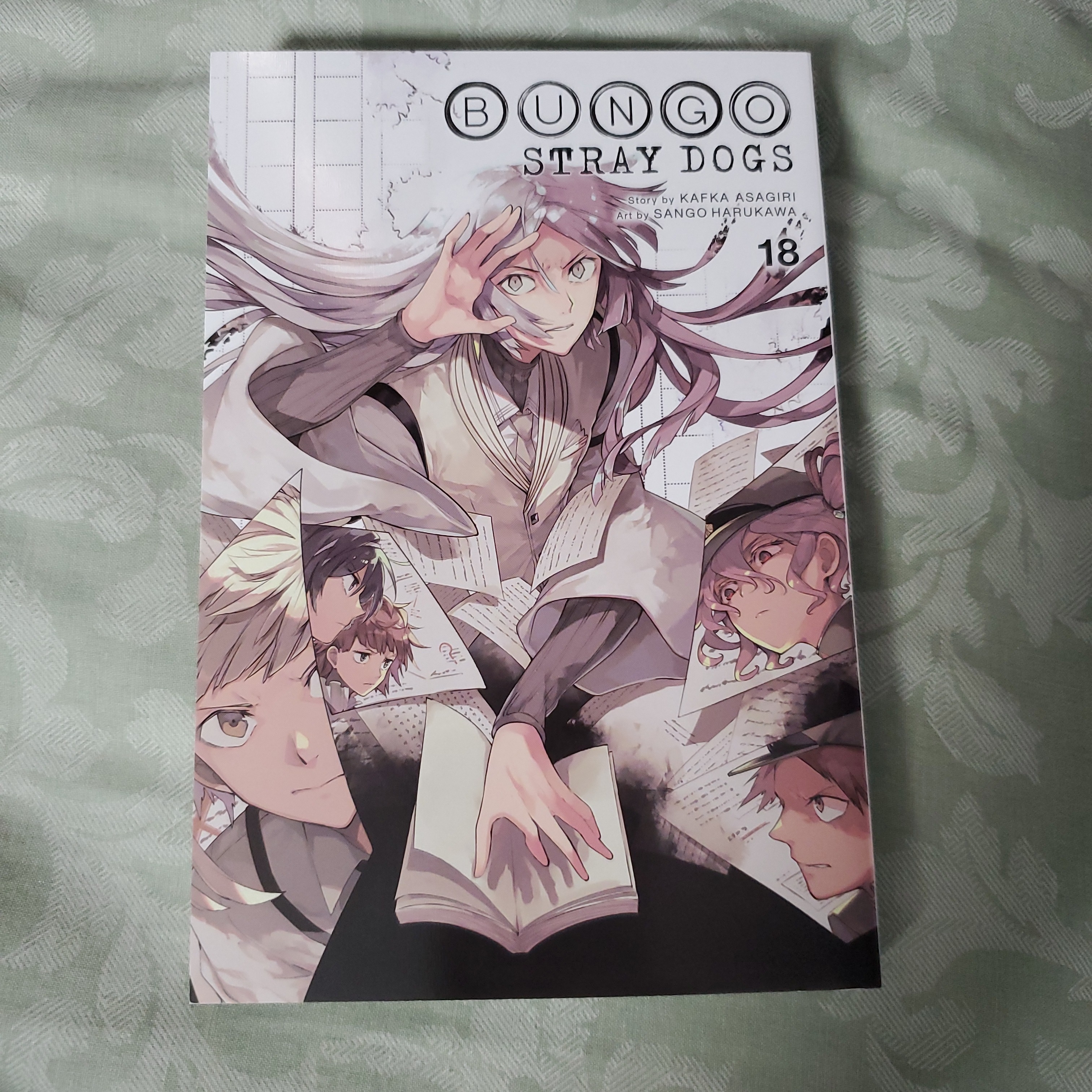 Bungo Stray Dogs, Vol. 18
