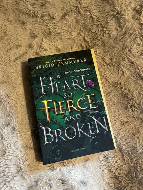 A Heart So Fierce and Broken