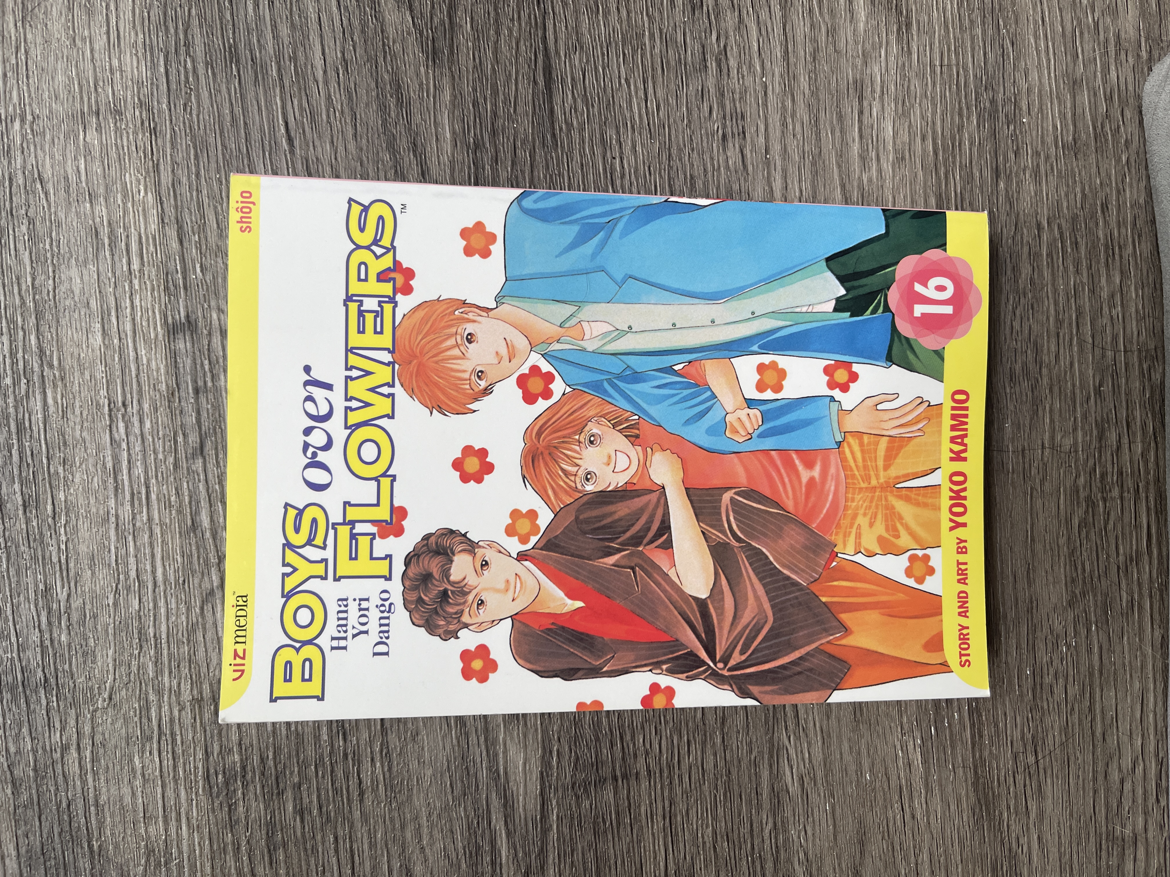 Boys over Flowers (Hana Yori Dango)