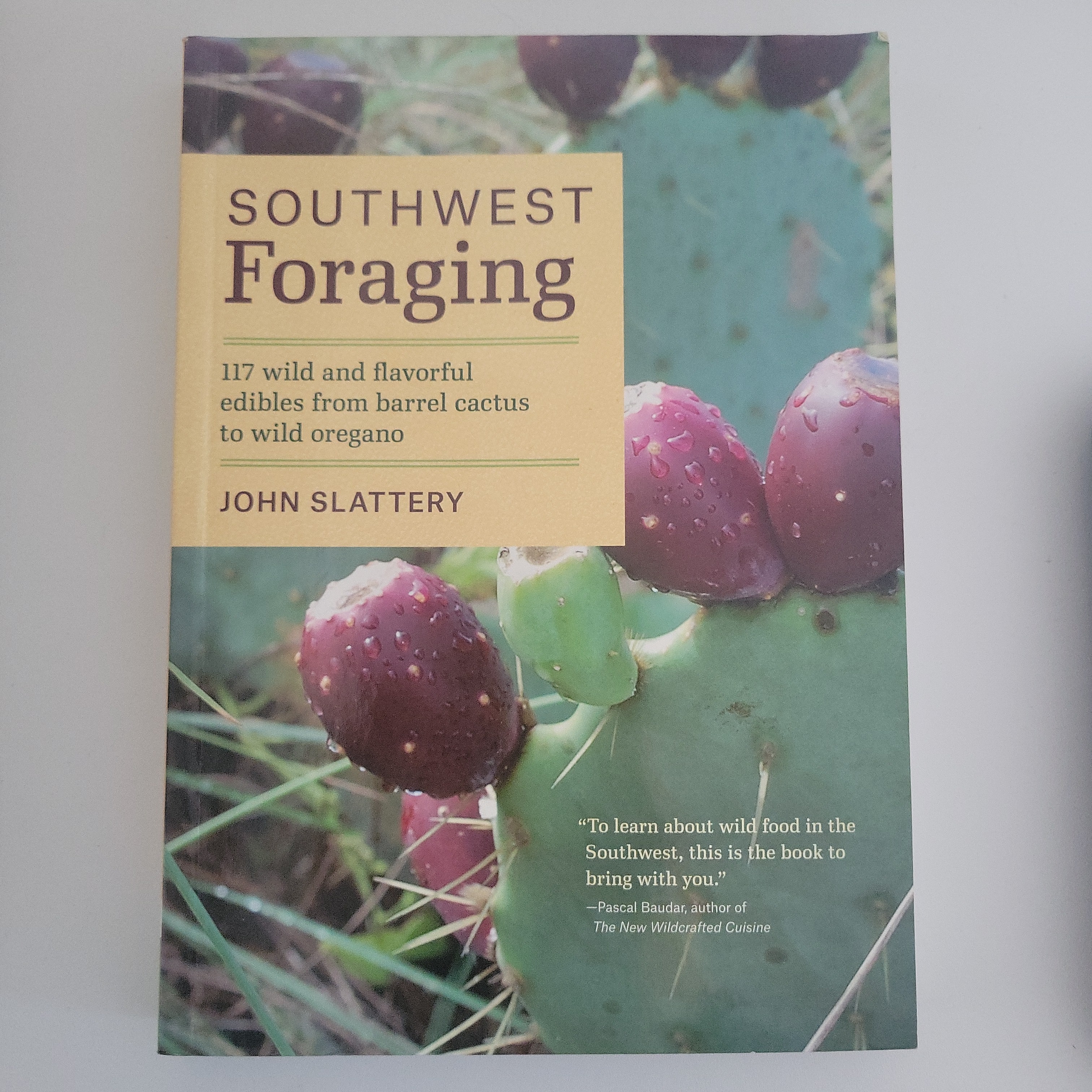Southwest Foraging