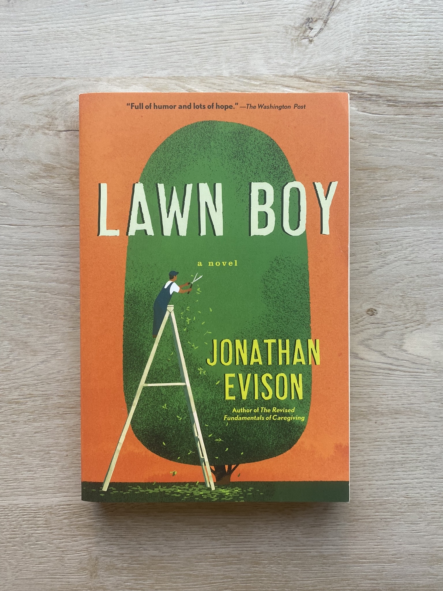 Lawn Boy