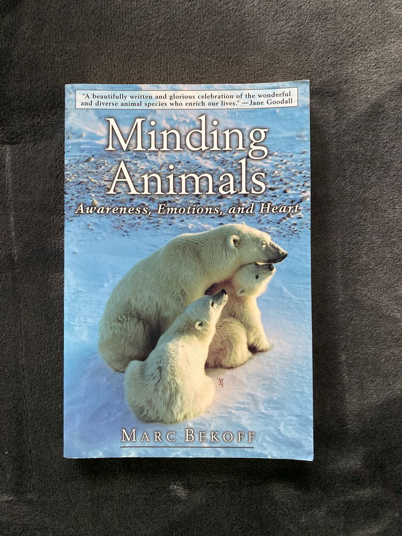 Minding Animals
