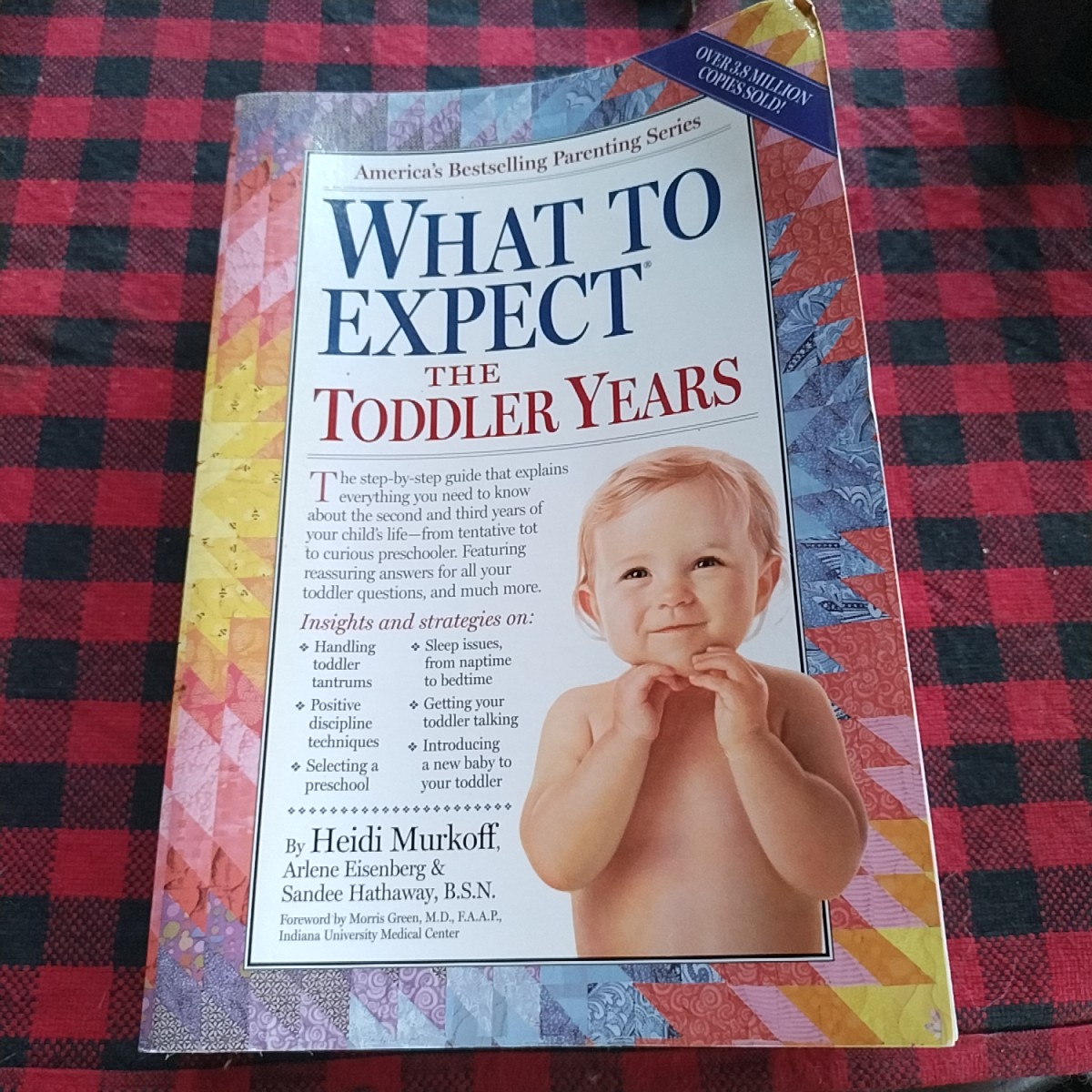 What to Expect the Toddler Years