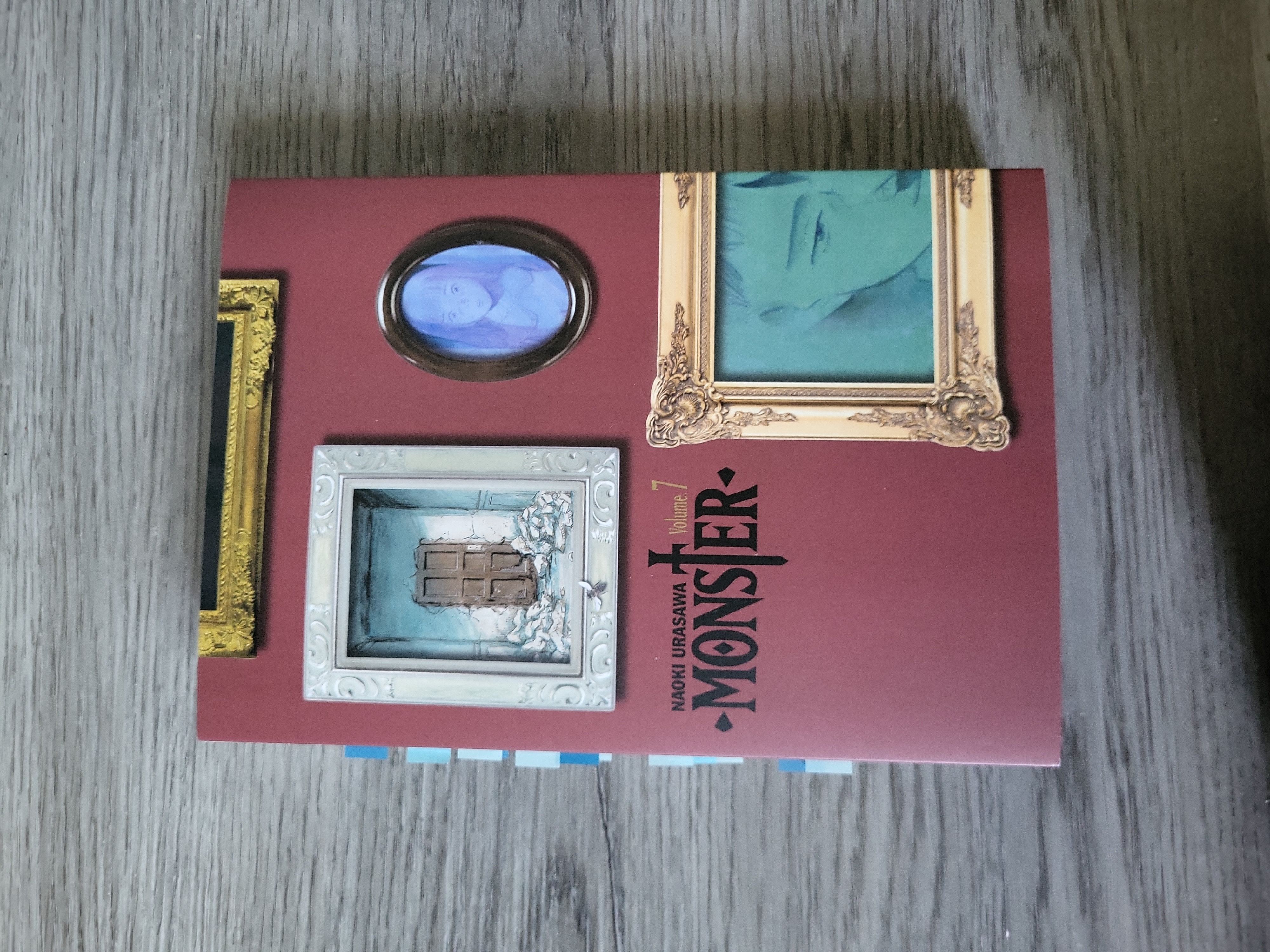 Monster: the Perfect Edition, Vol. 7