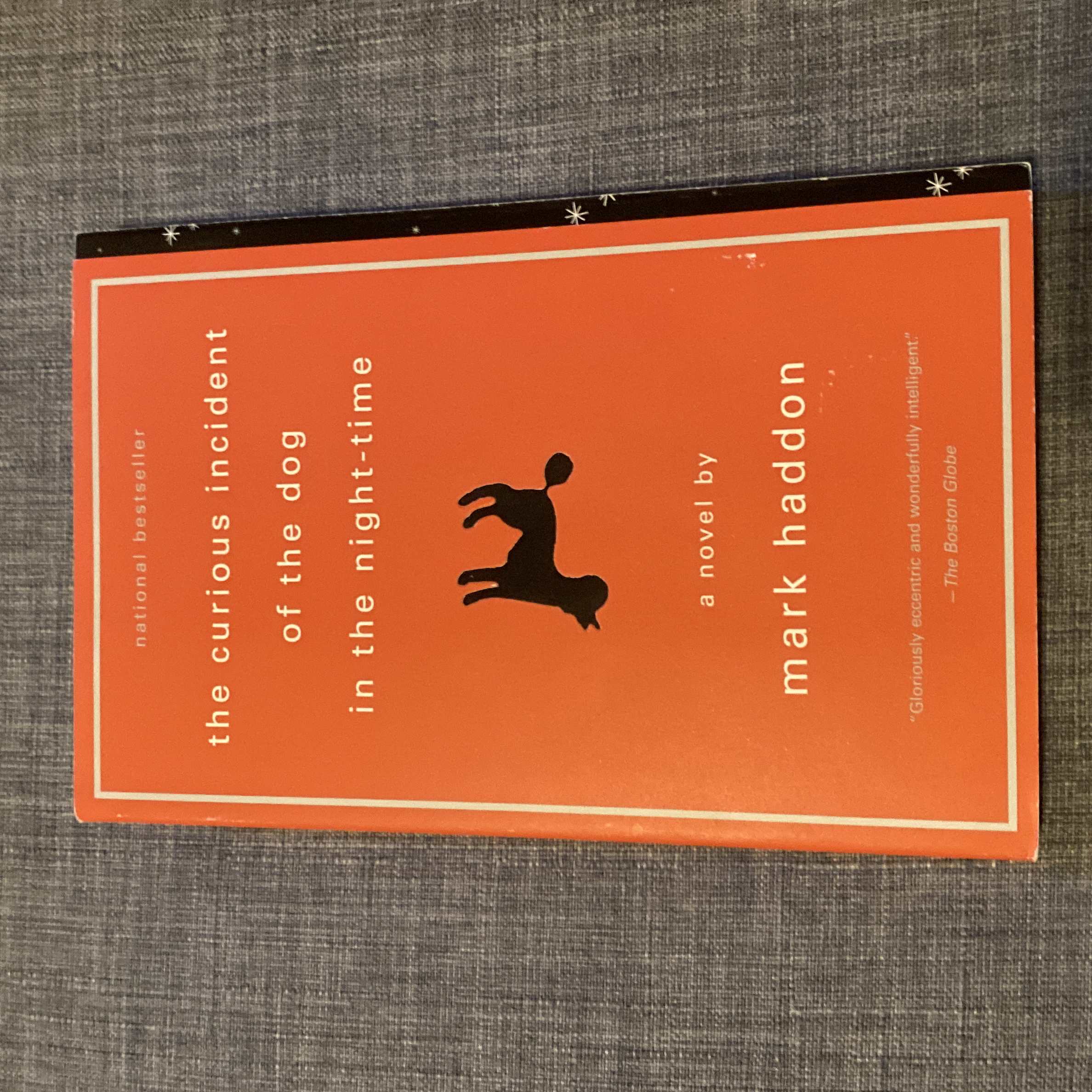 The Curious Incident of the Dog in the Night-Time