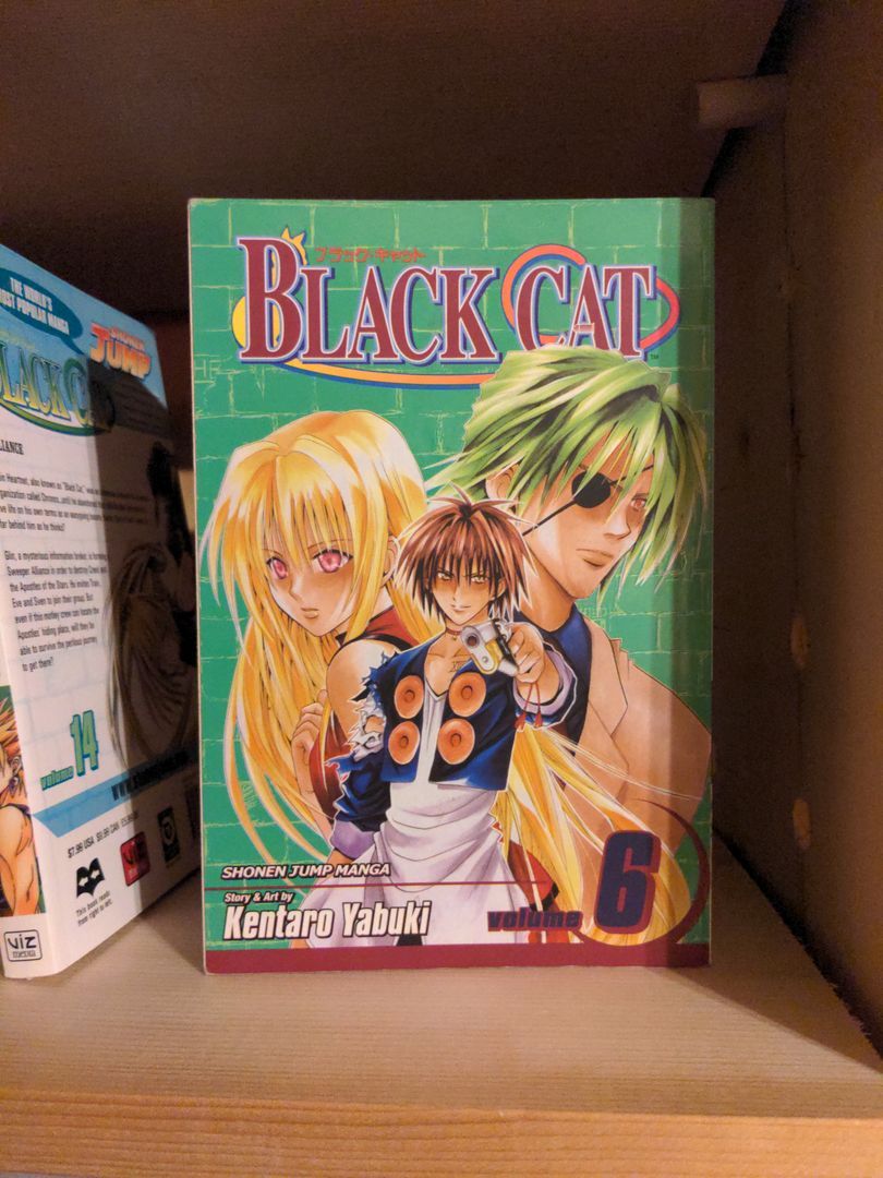 Black Cat, Vol. 1 by Kentaro Yabuki